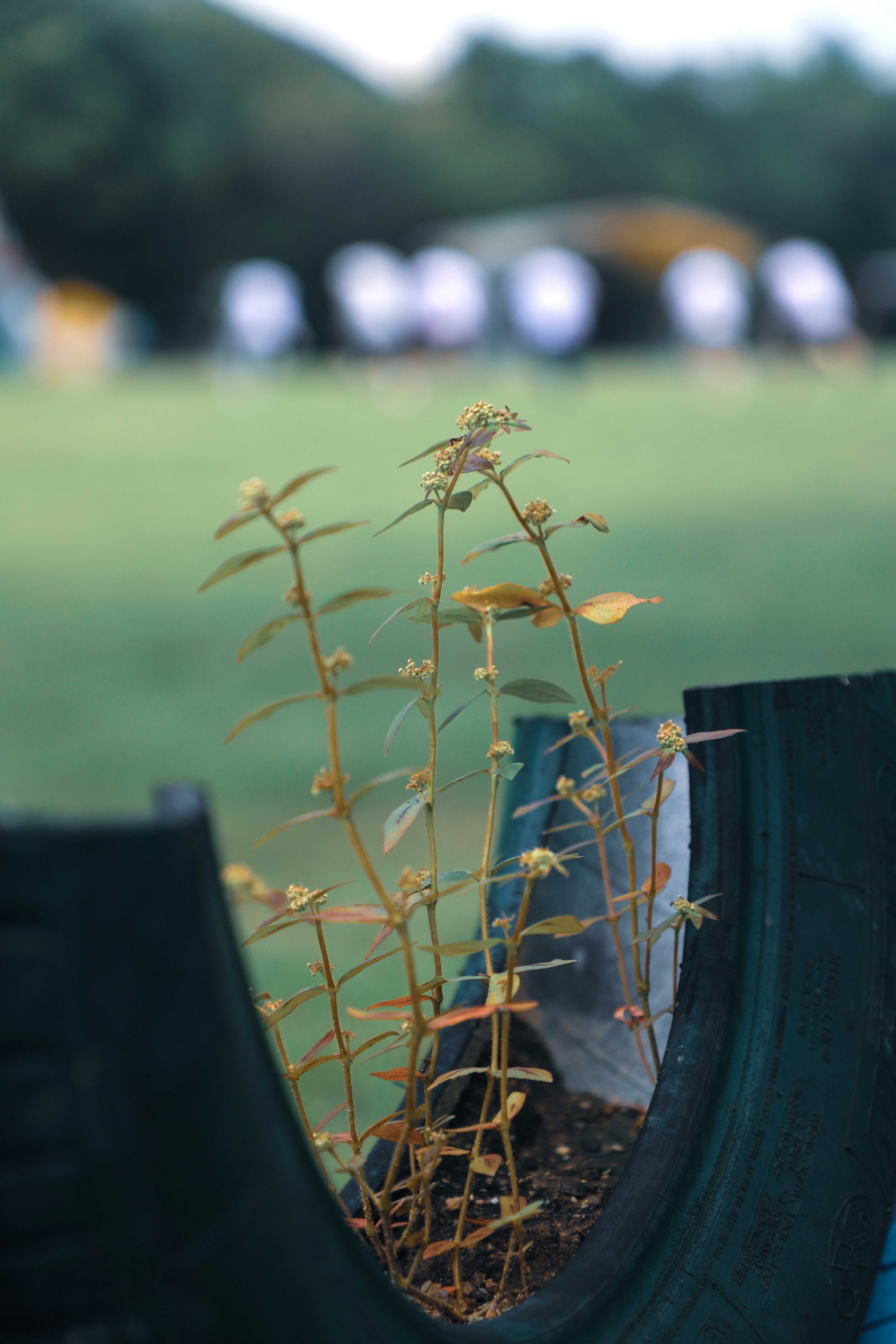 Rubber / Tire Recycling Plants
