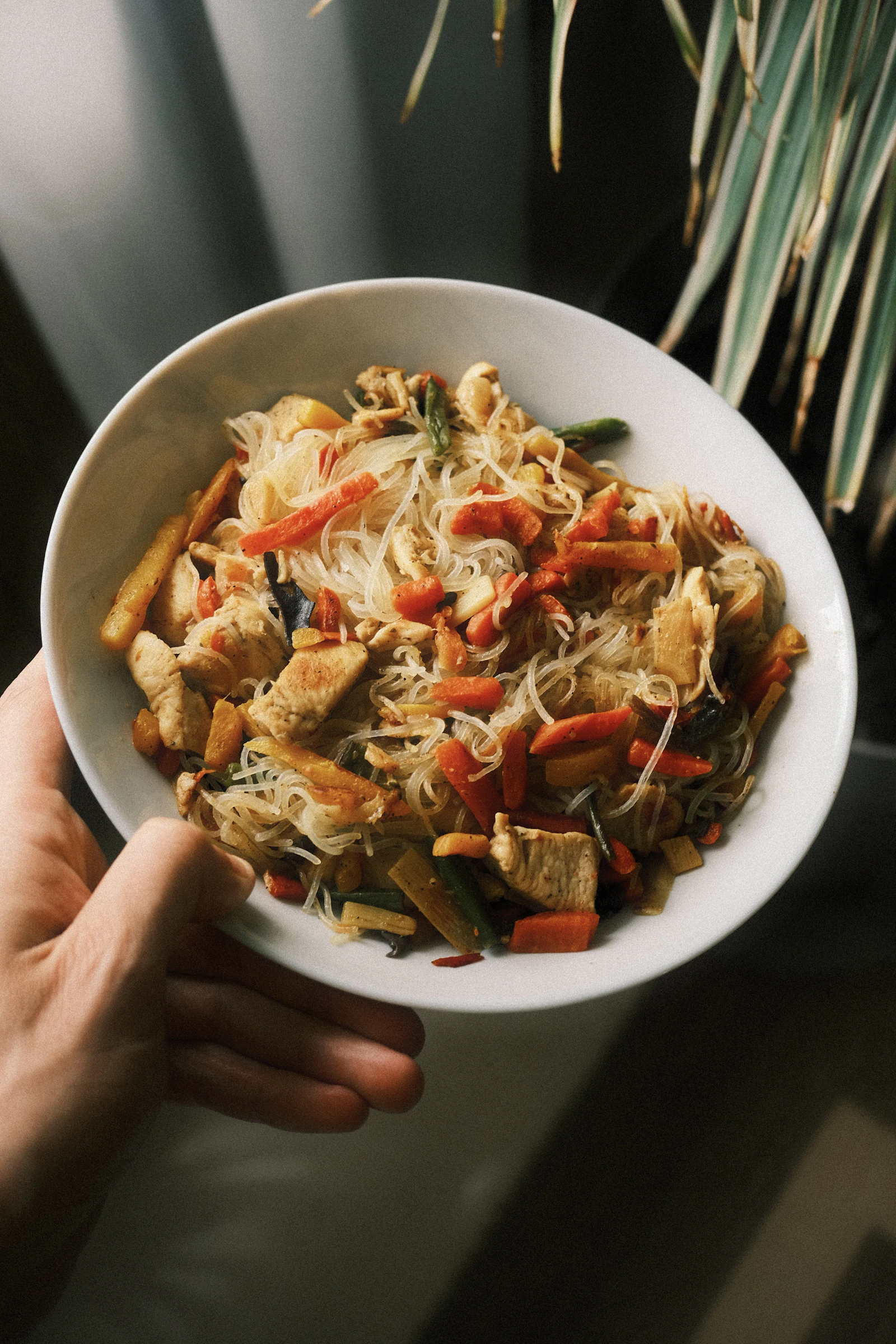 Laoyou Fen ("Old Friend" Rice Noodles) — street food from Guangxi, China