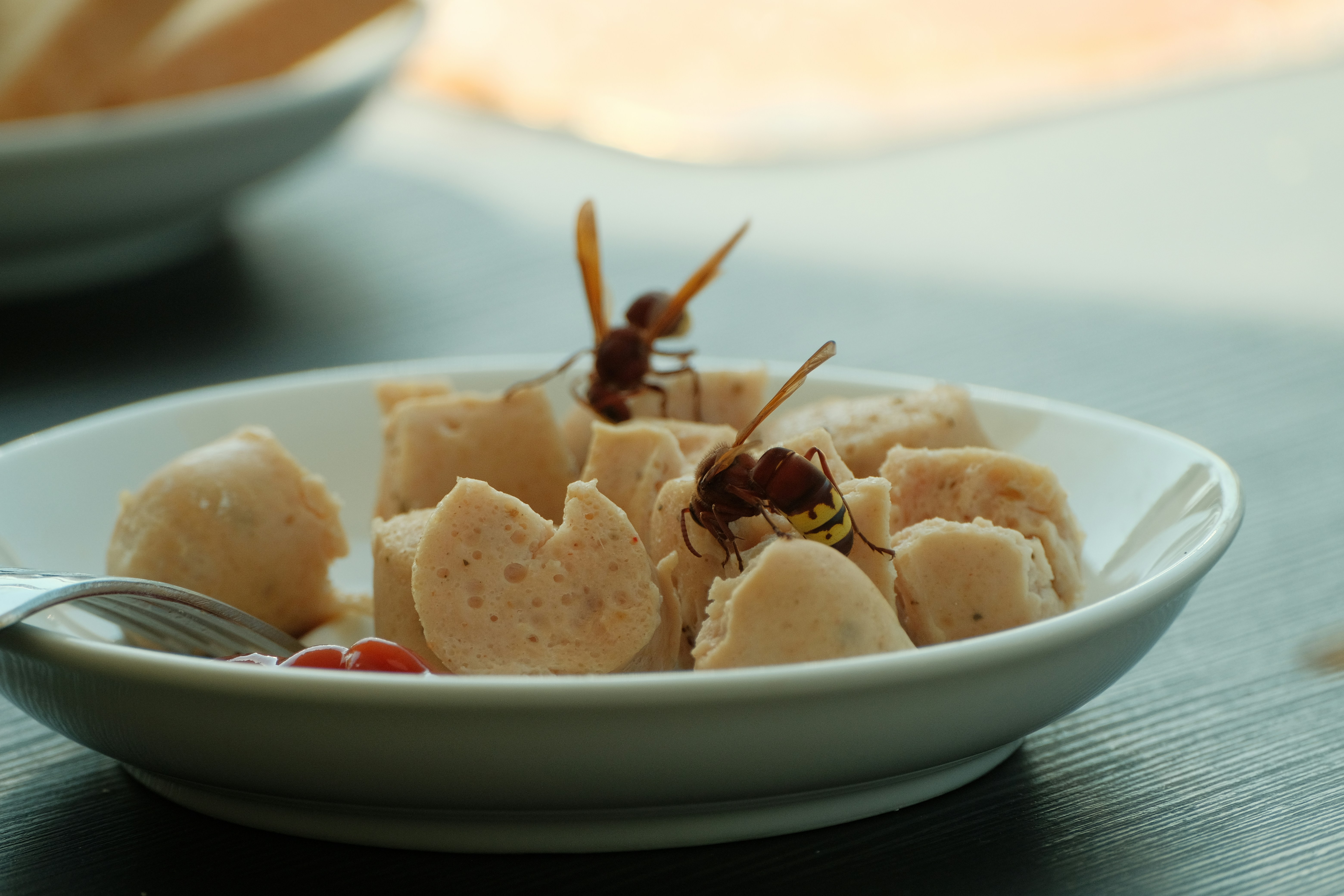 Two wasps on a plate of food
