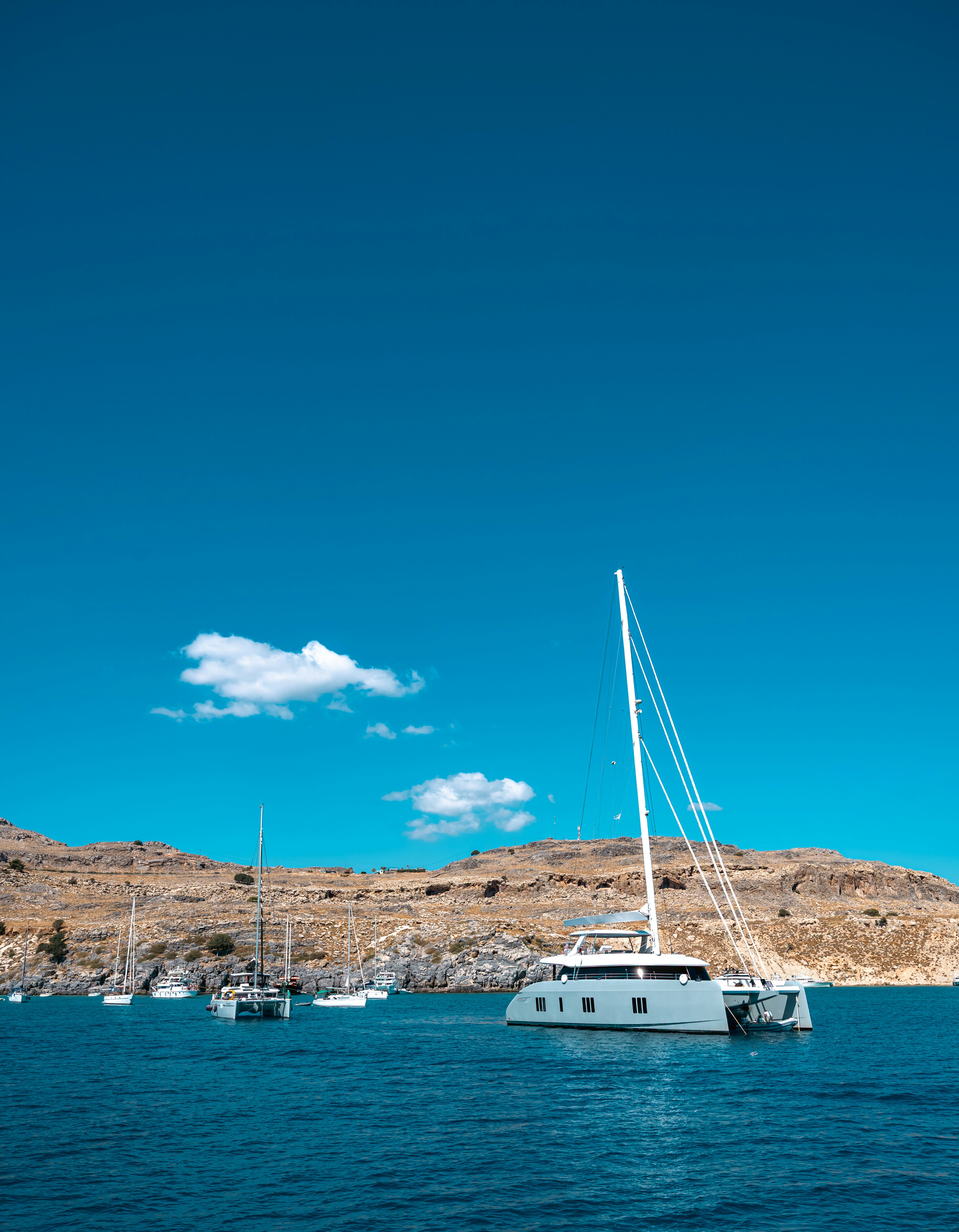 Catamaran sails on blue water near rocky shore.