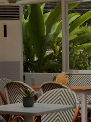 Chairs and tables in a cafe with lush green plants.