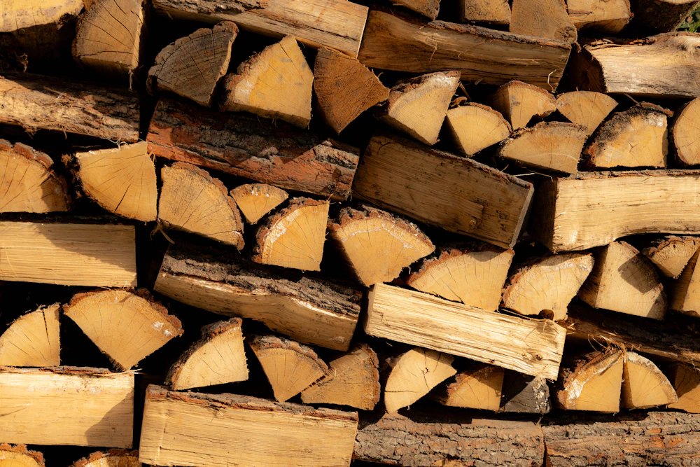 Pellet di legno per il riscaldamento domestico / pelletdevillahermosa.com / Pellet de Villahermosa