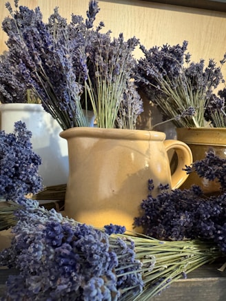 Bunches of dried lavender in rustic pitchers.