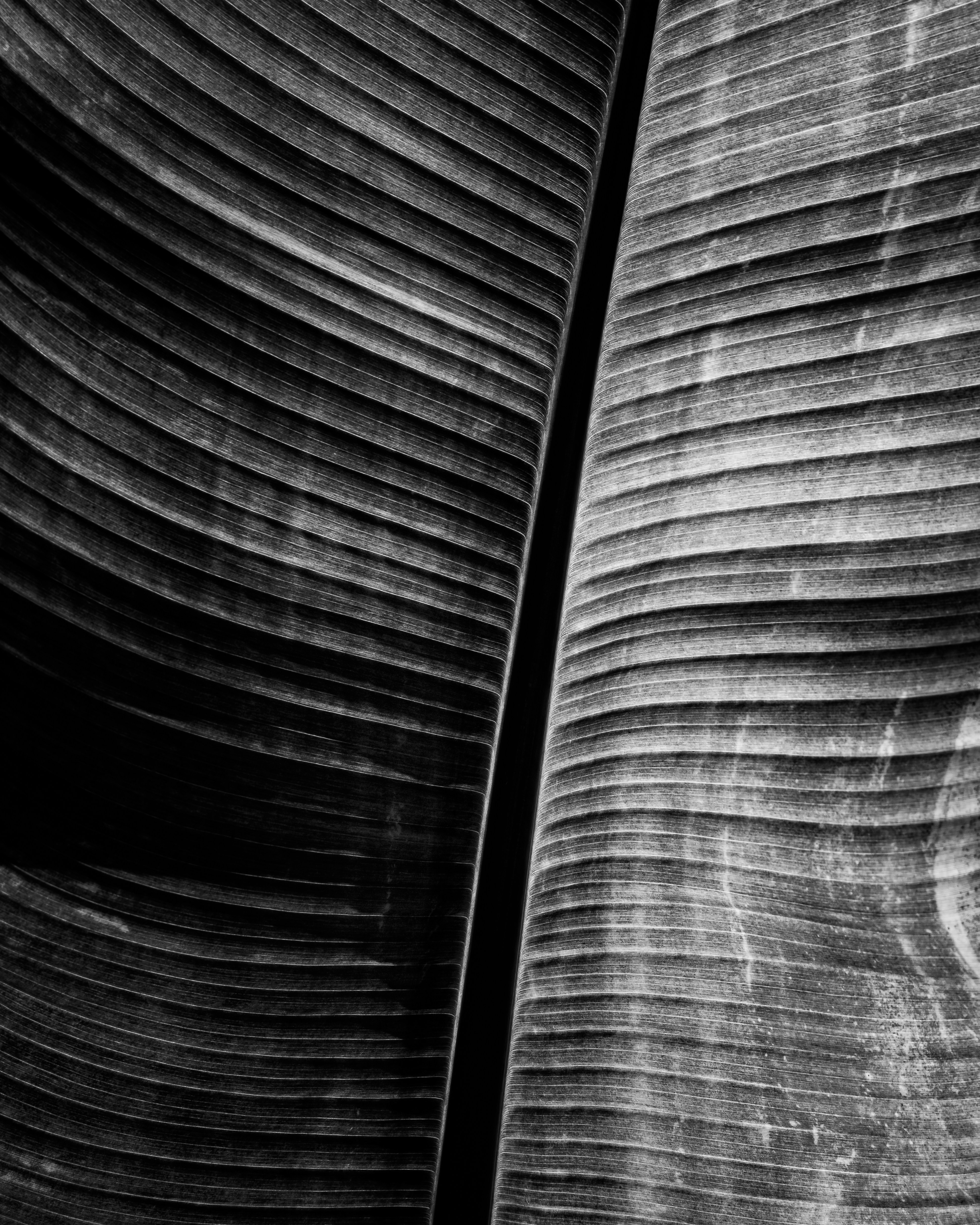 Photo by sschusterphotoart