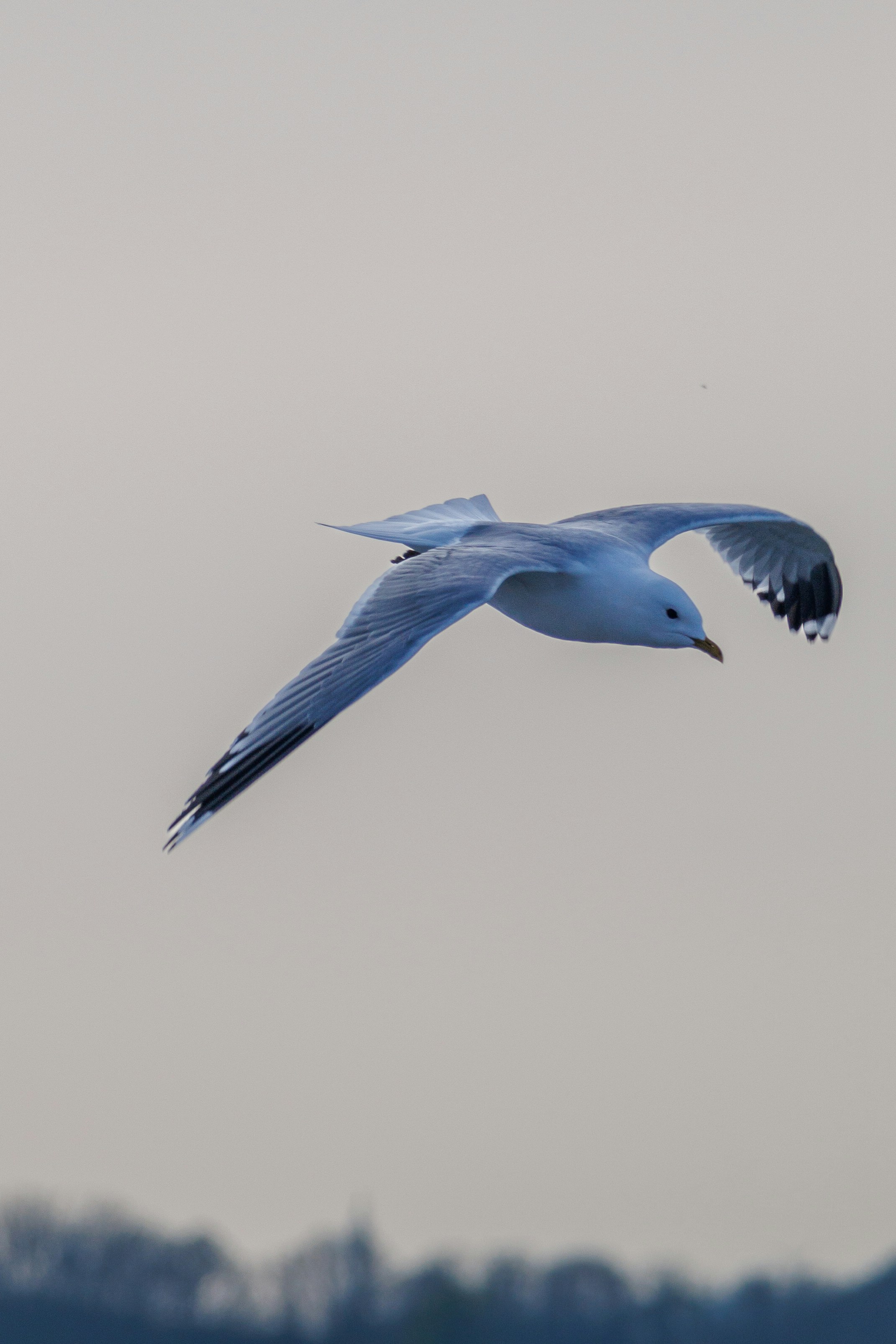 Photo by stockbirken