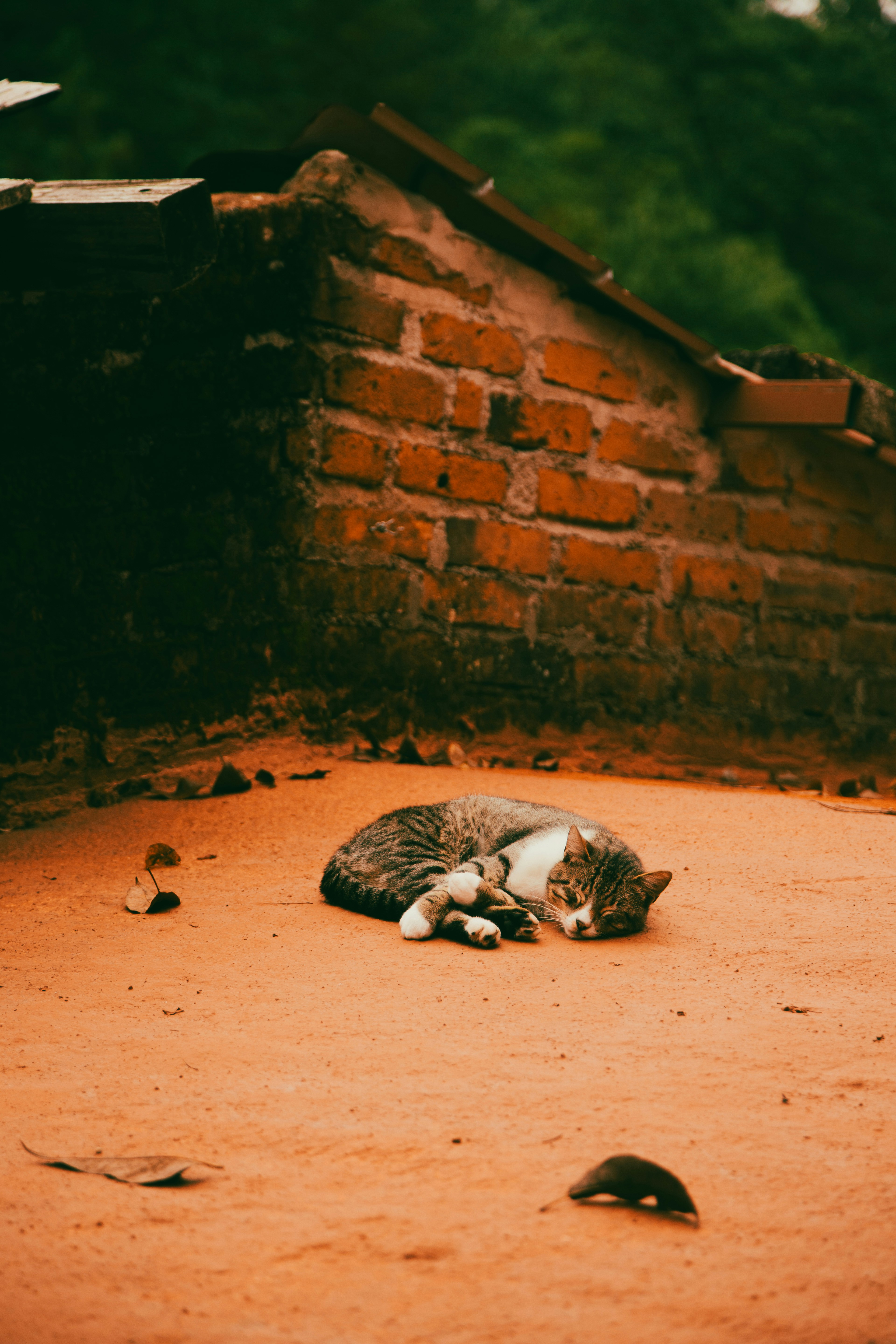 Photo by leonardodbi