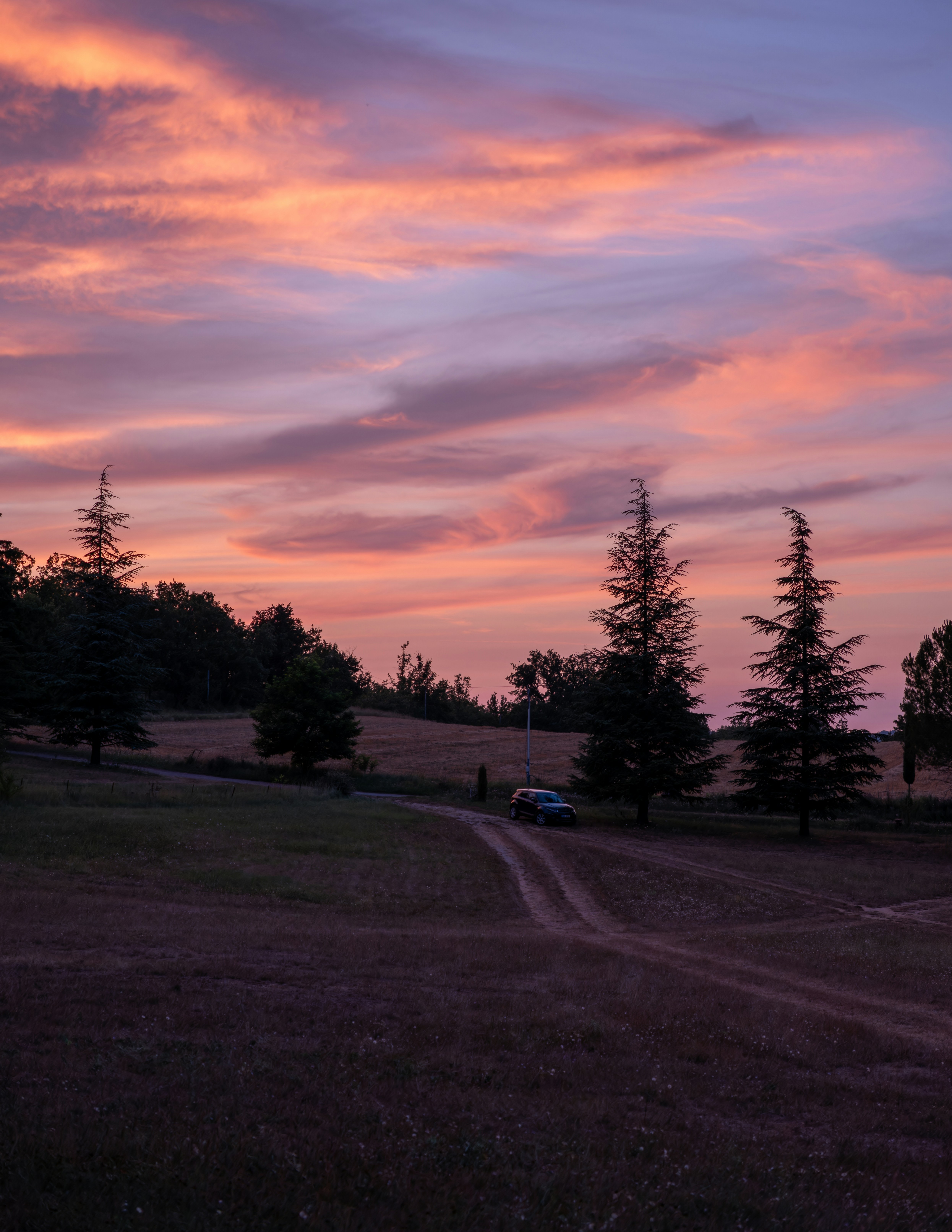 Photo by wildsidewalk