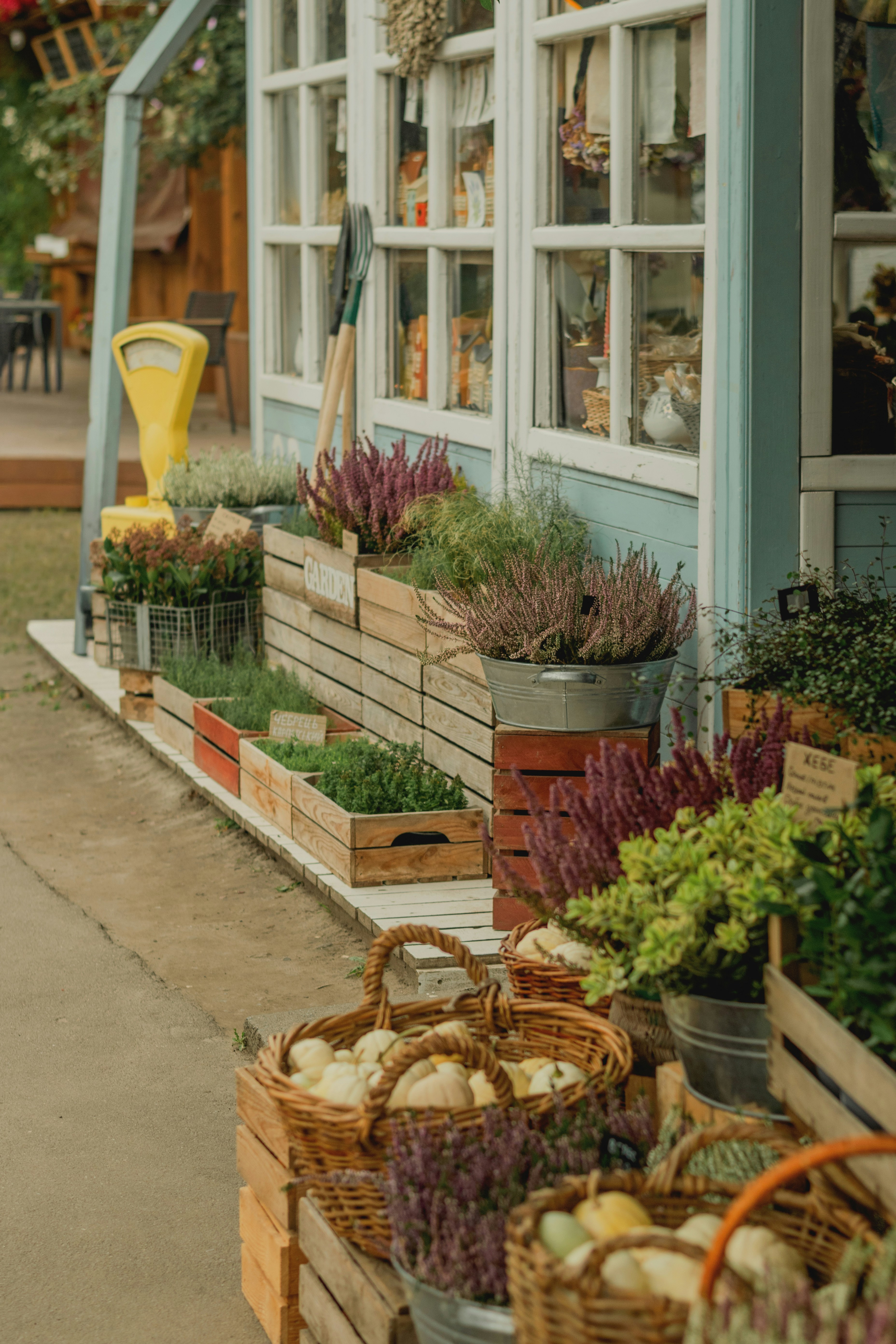 Photo by eugenivy_now