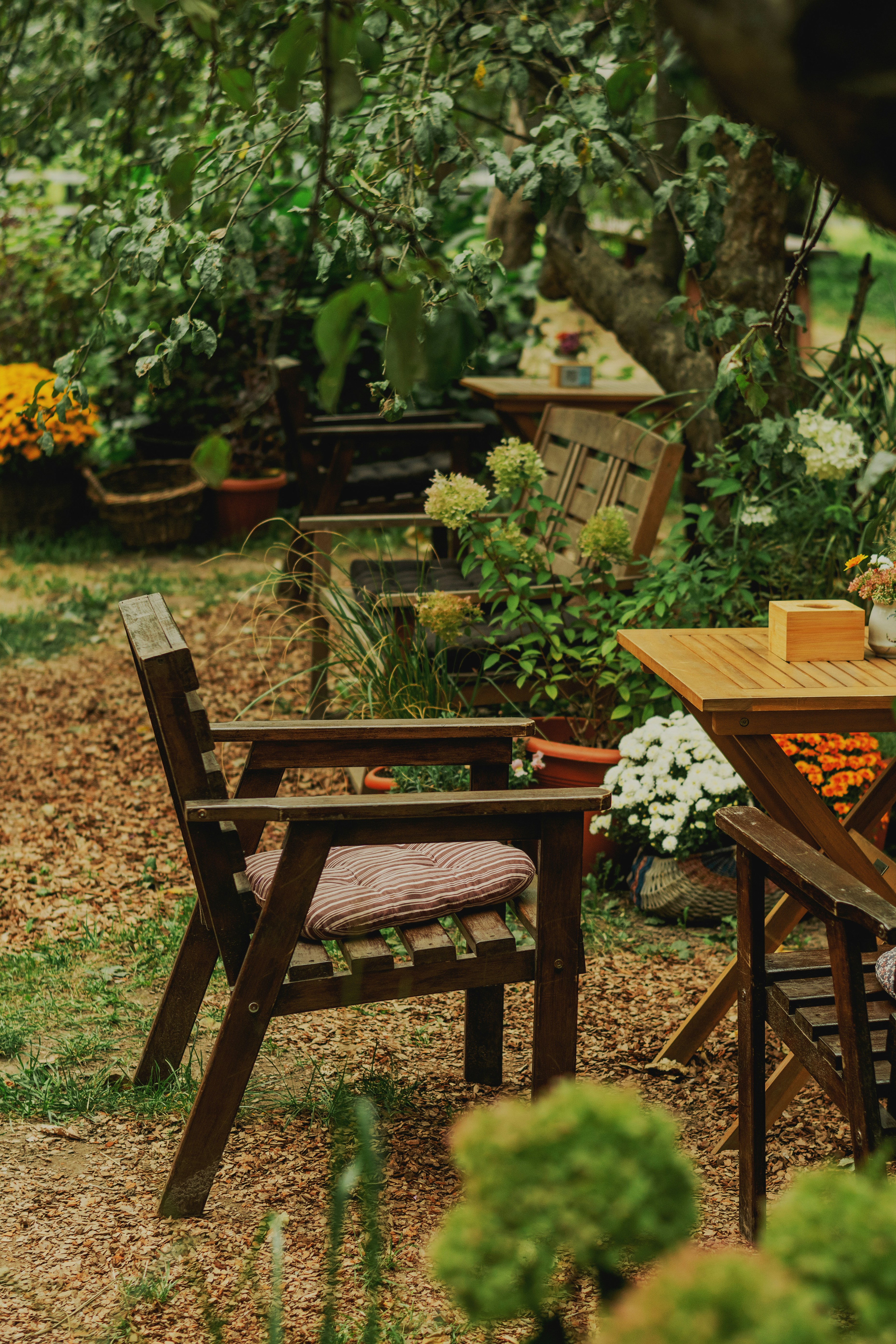 Photo by eugenivy_now