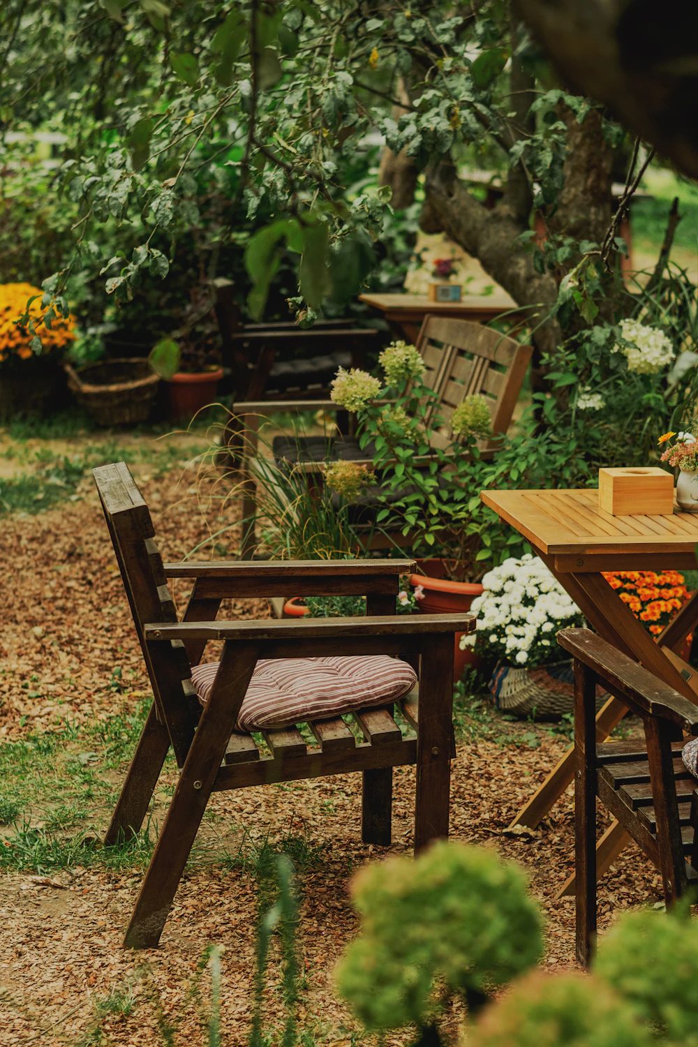 Outdoor inspiration 6