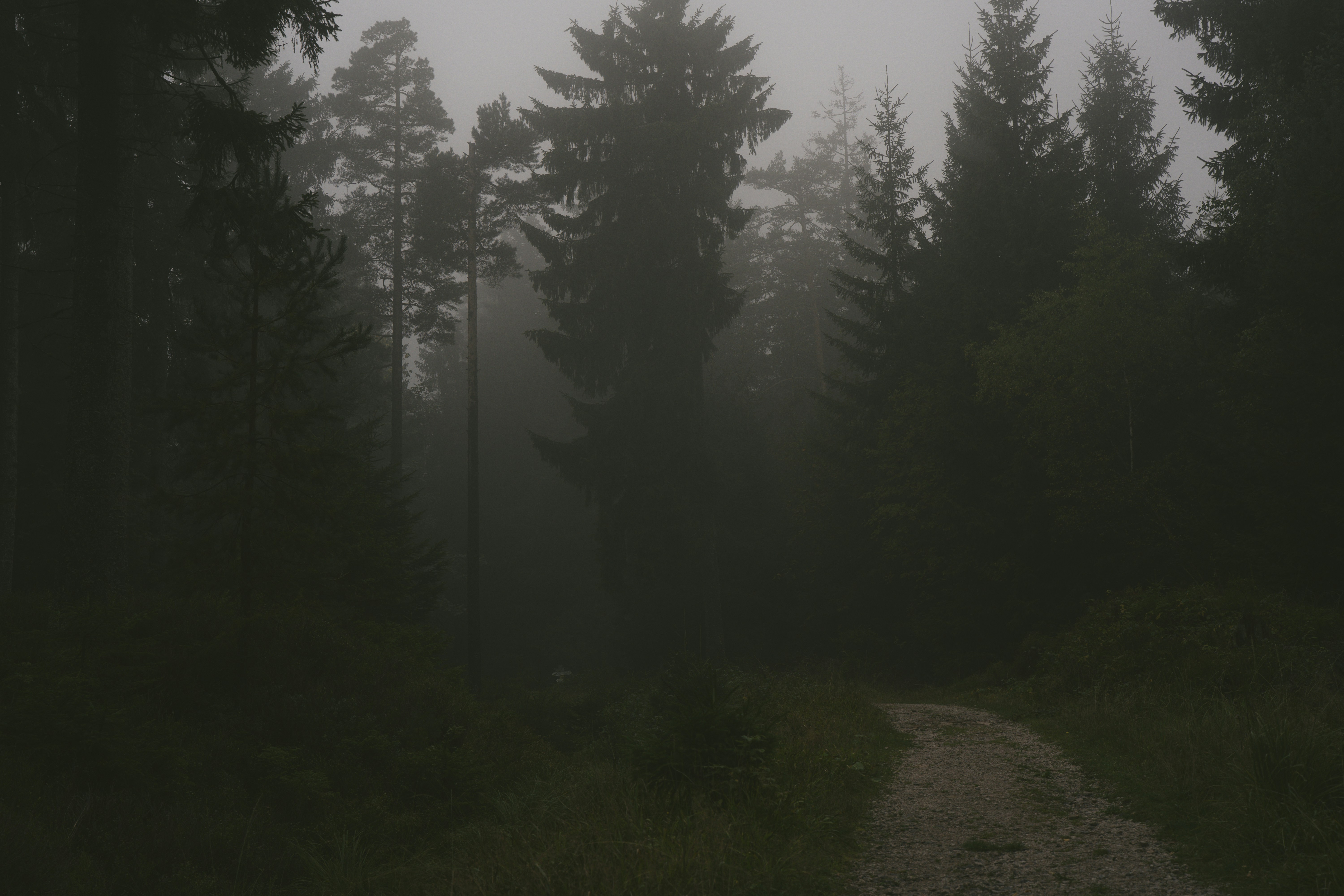 Photo by allexander_h