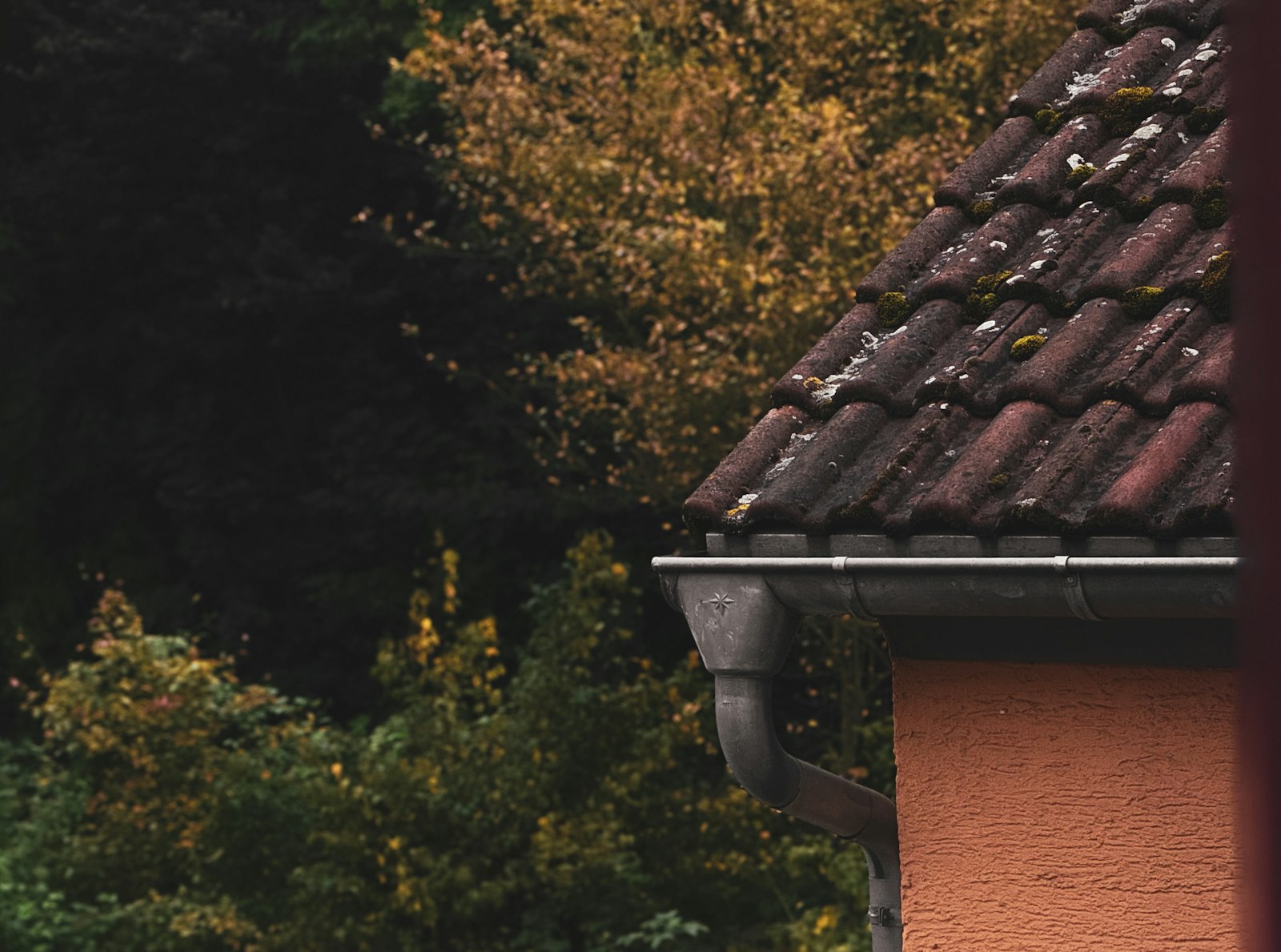Close-up of a residential shingle roof with autumn trees turning color in the background