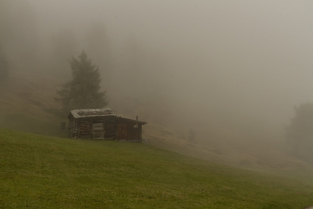 Small wooden cabin on a grassy hill in fog.