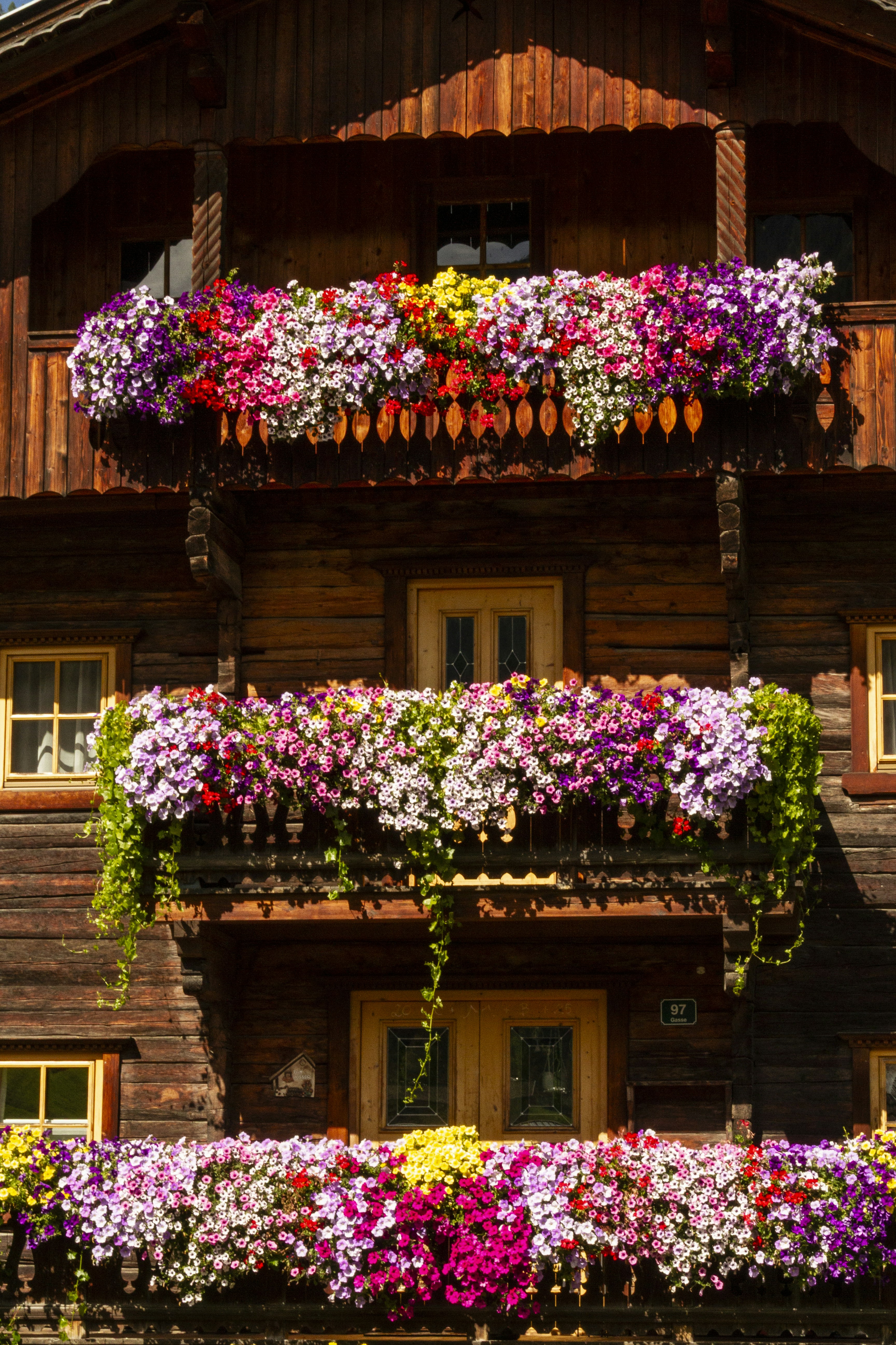 alpine house colors