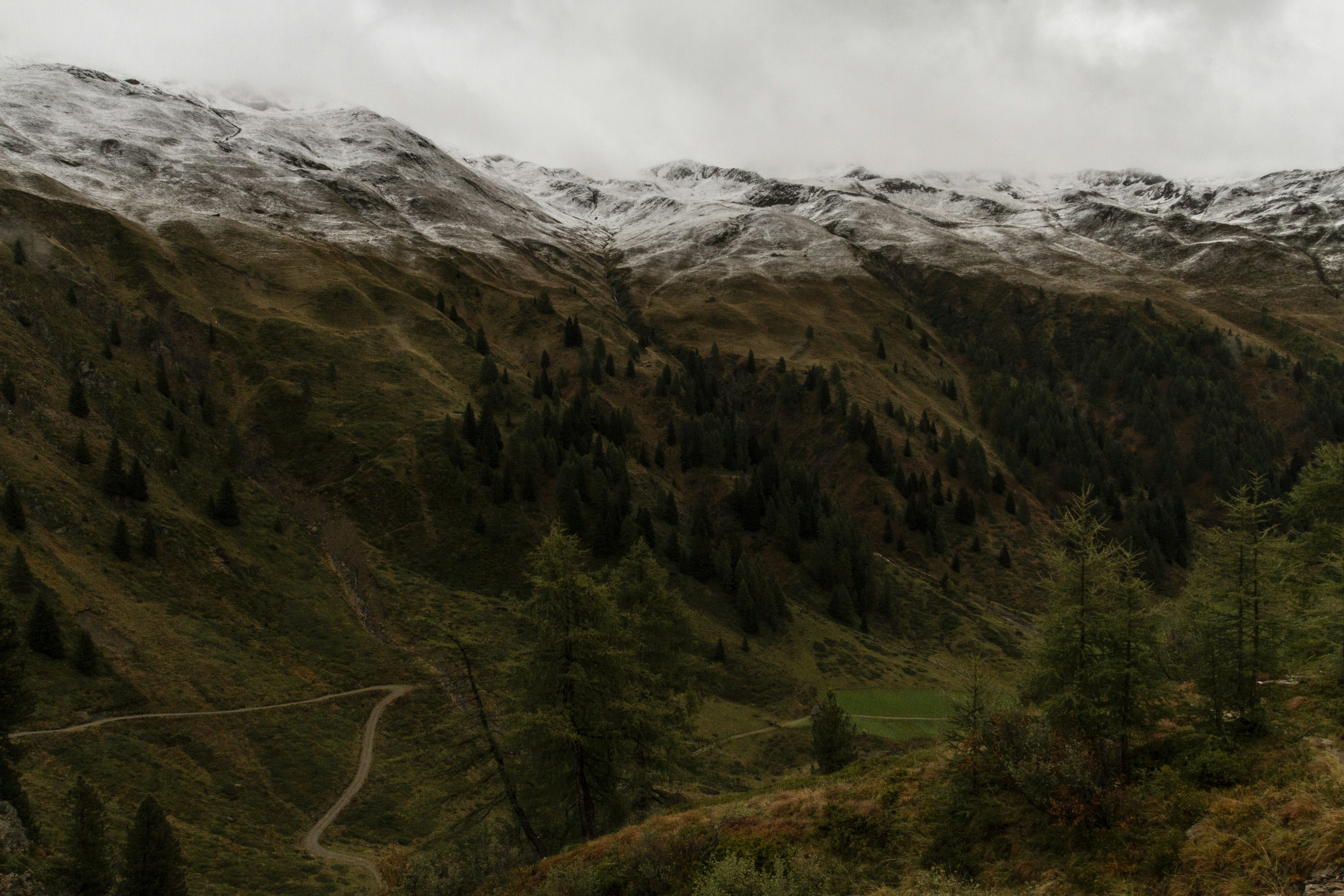 Snow-capped mountains overlook a forested valley.