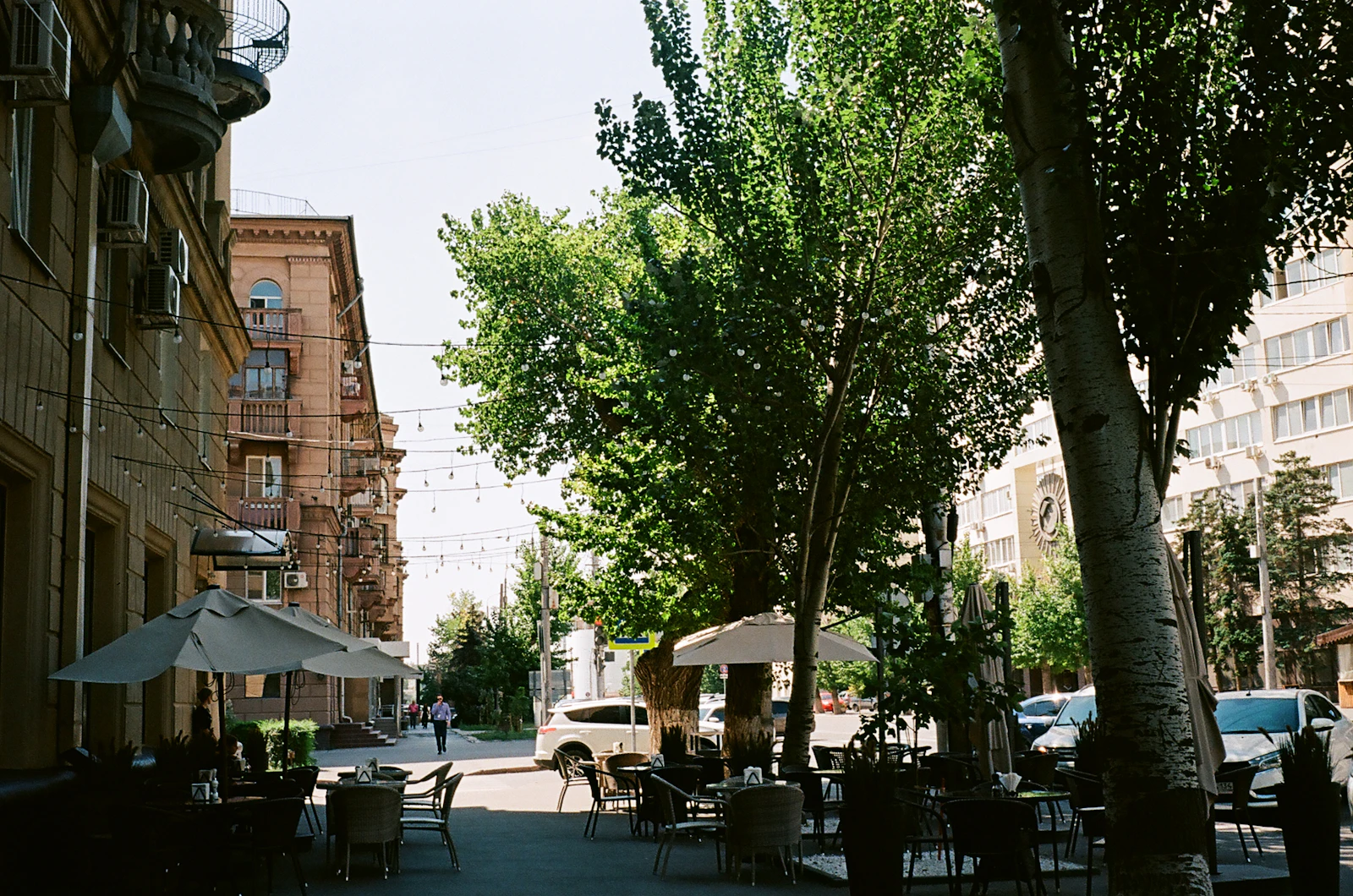 Terrasse de bistrot sur une rue bordée d'arbres, lumière de midi