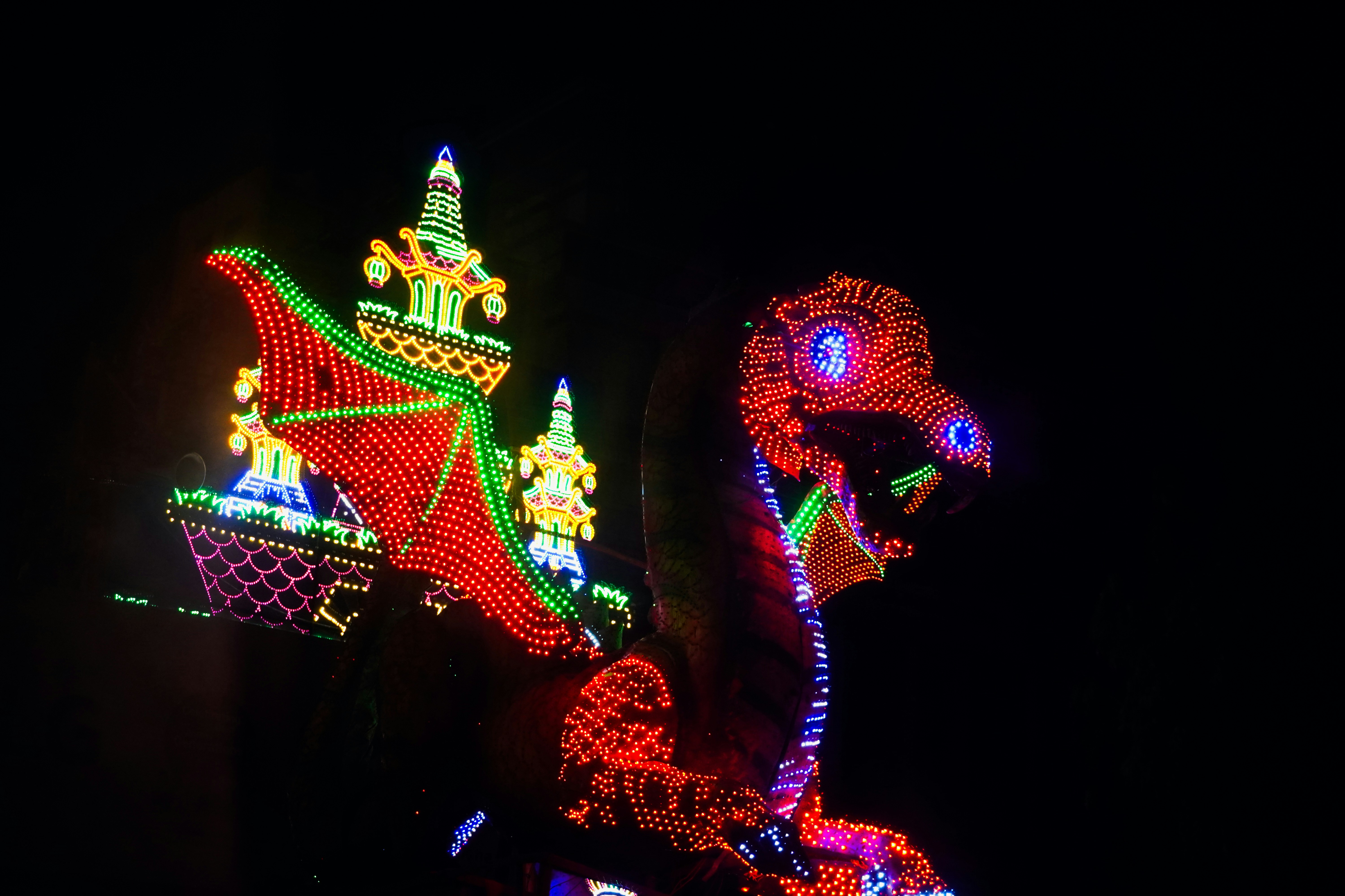Dragon made of colorful lights at night
