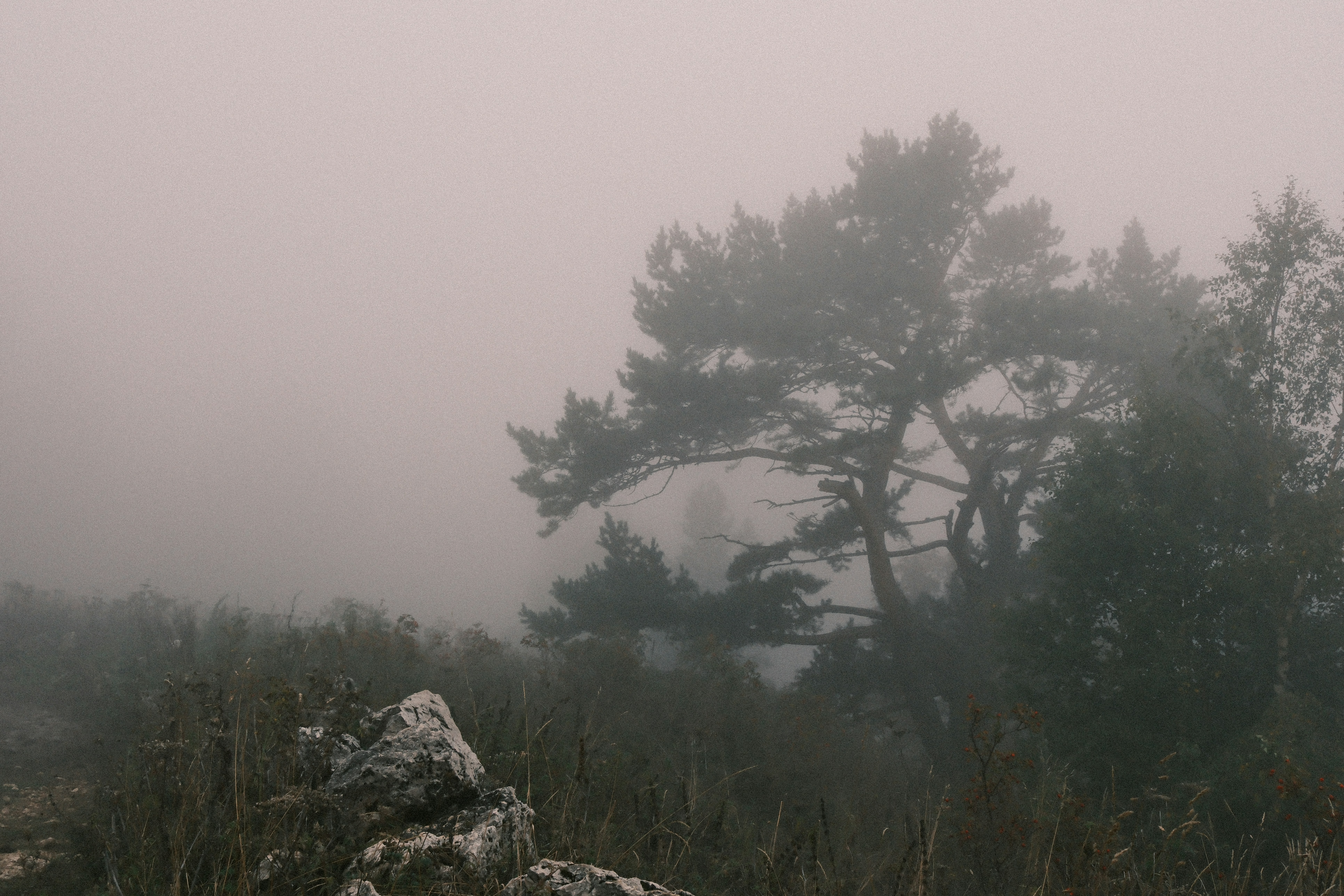 Photo by nikan_tanya