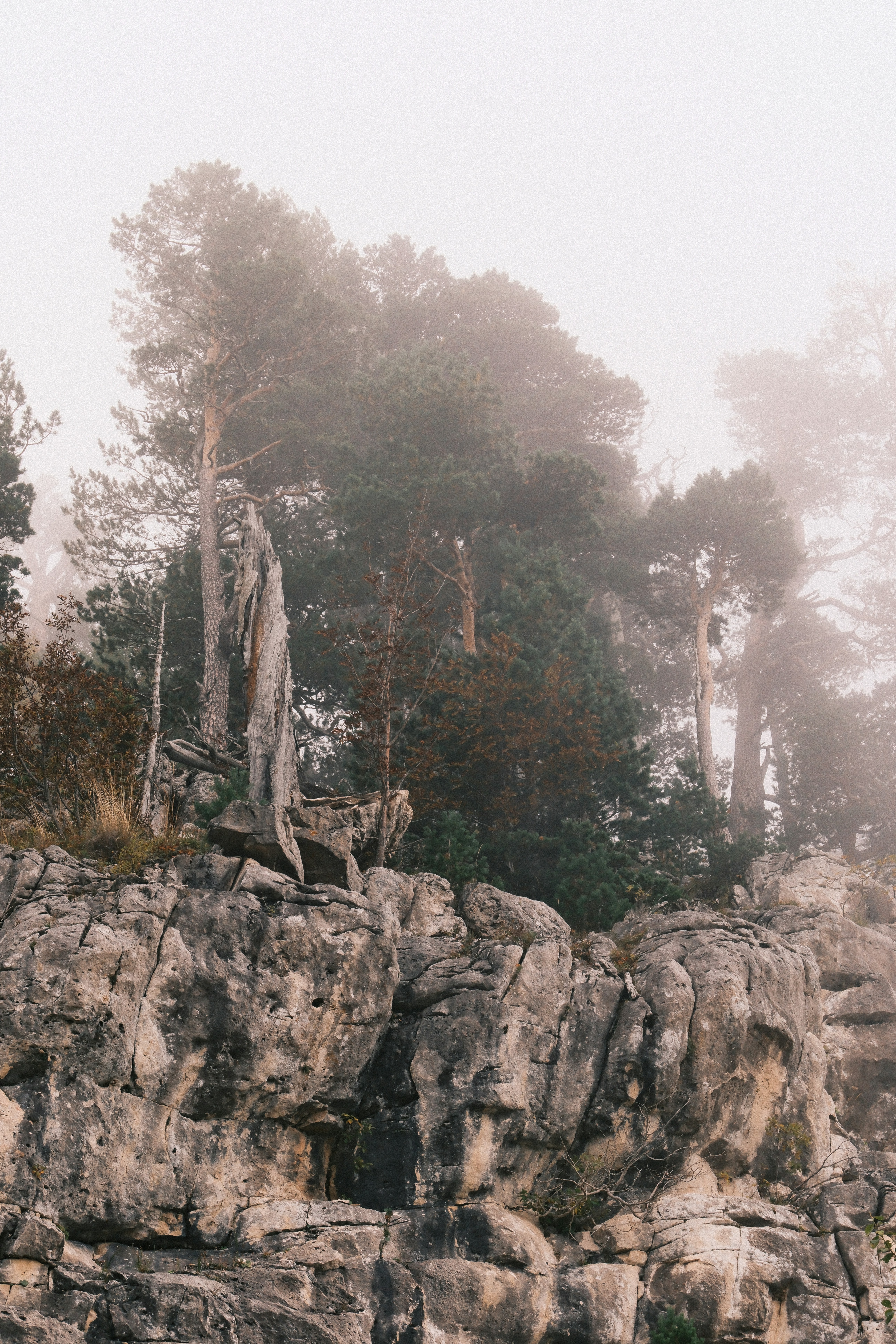 Photo by nikan_tanya