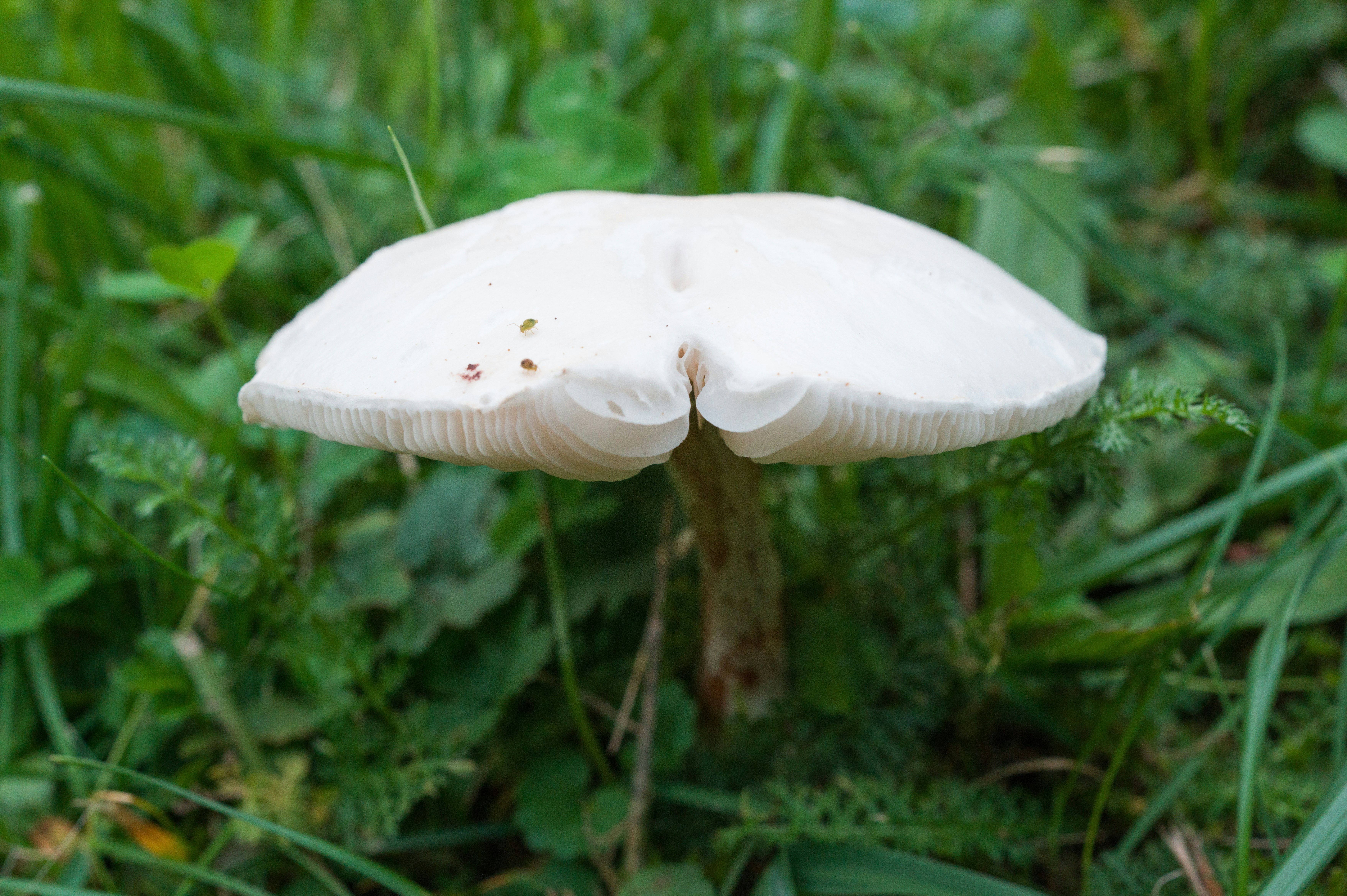 Photo by georgeiermann