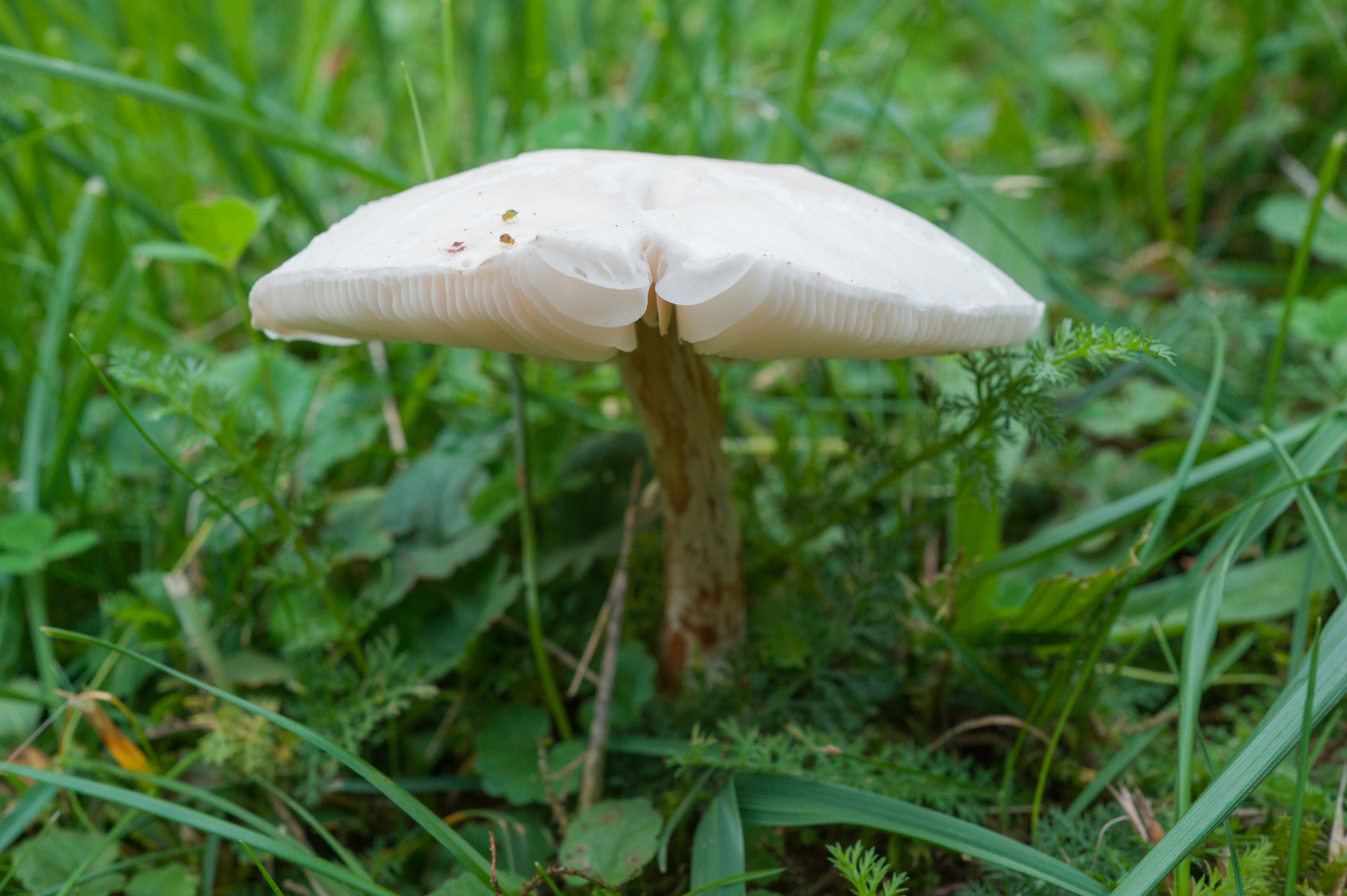 Photo by georgeiermann