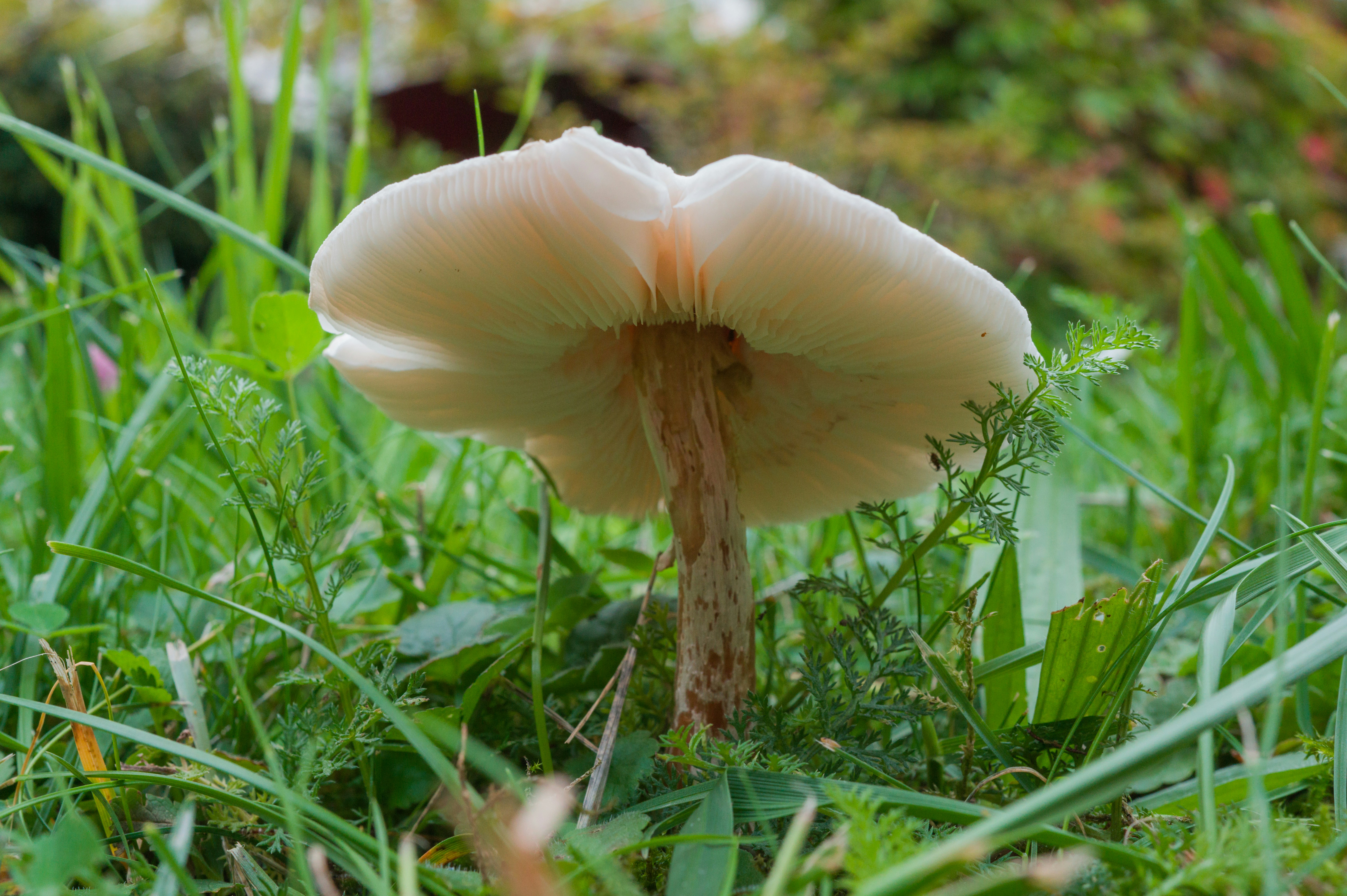 Photo by georgeiermann