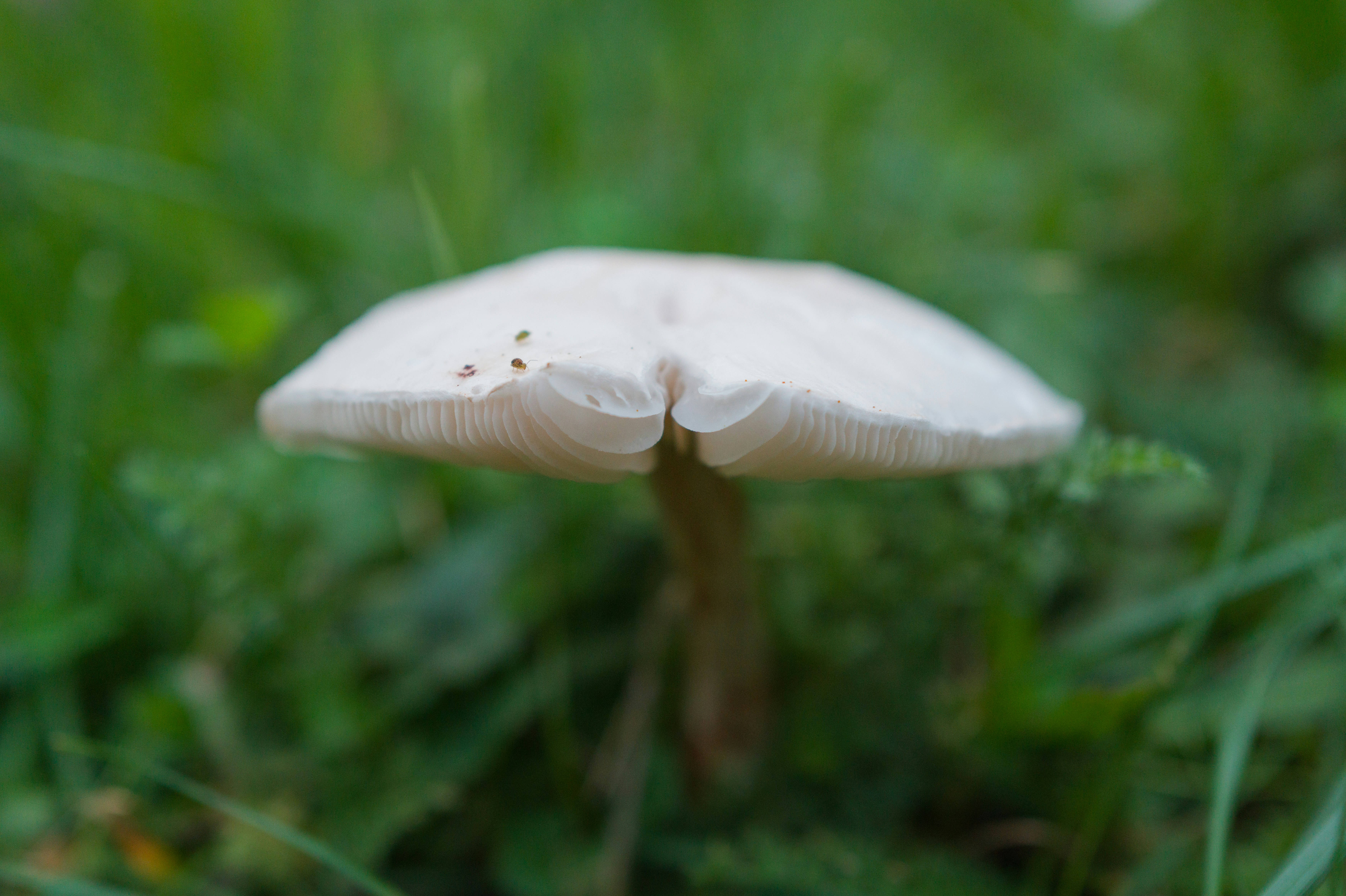 Photo by georgeiermann