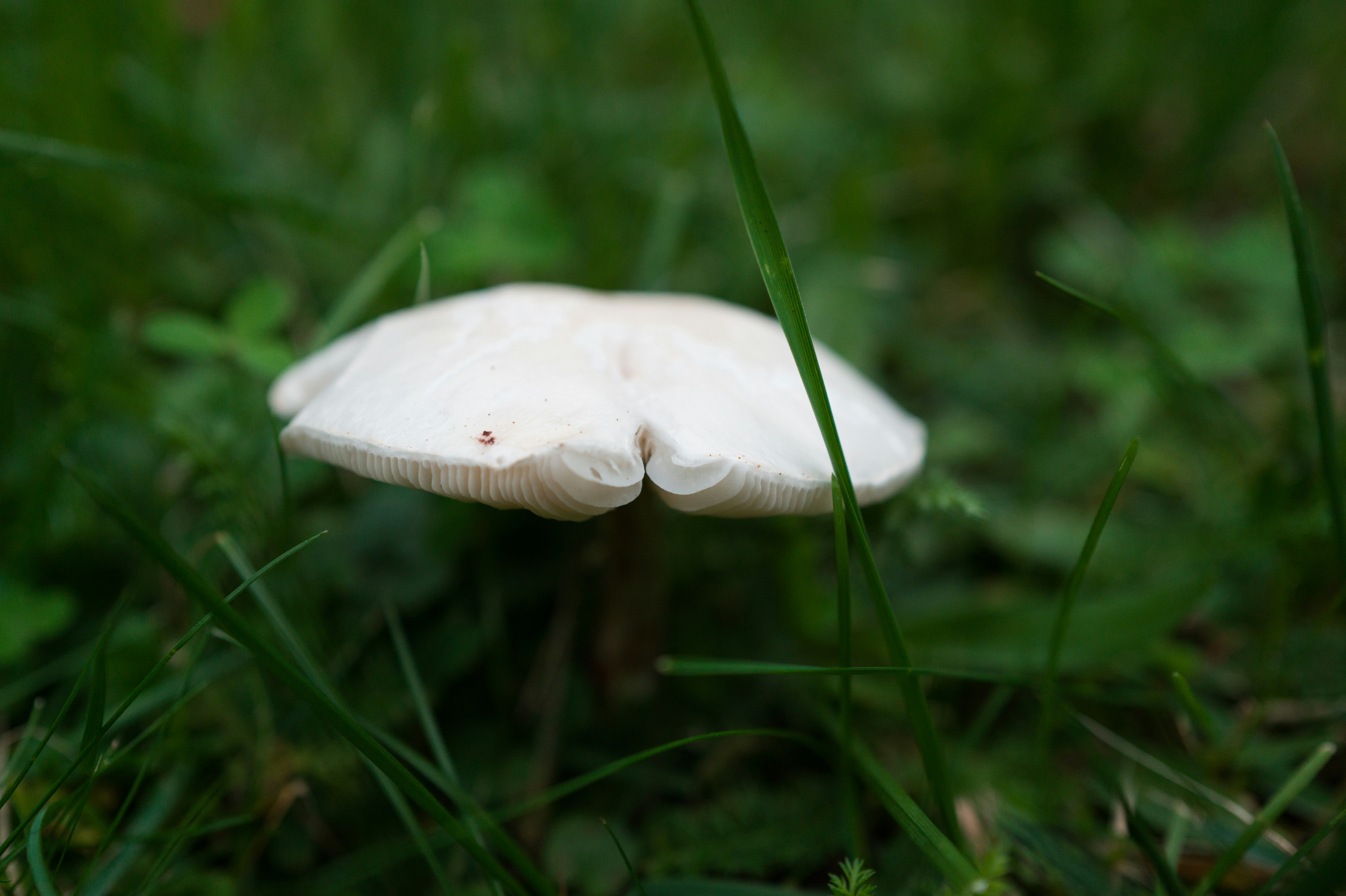 Photo by georgeiermann