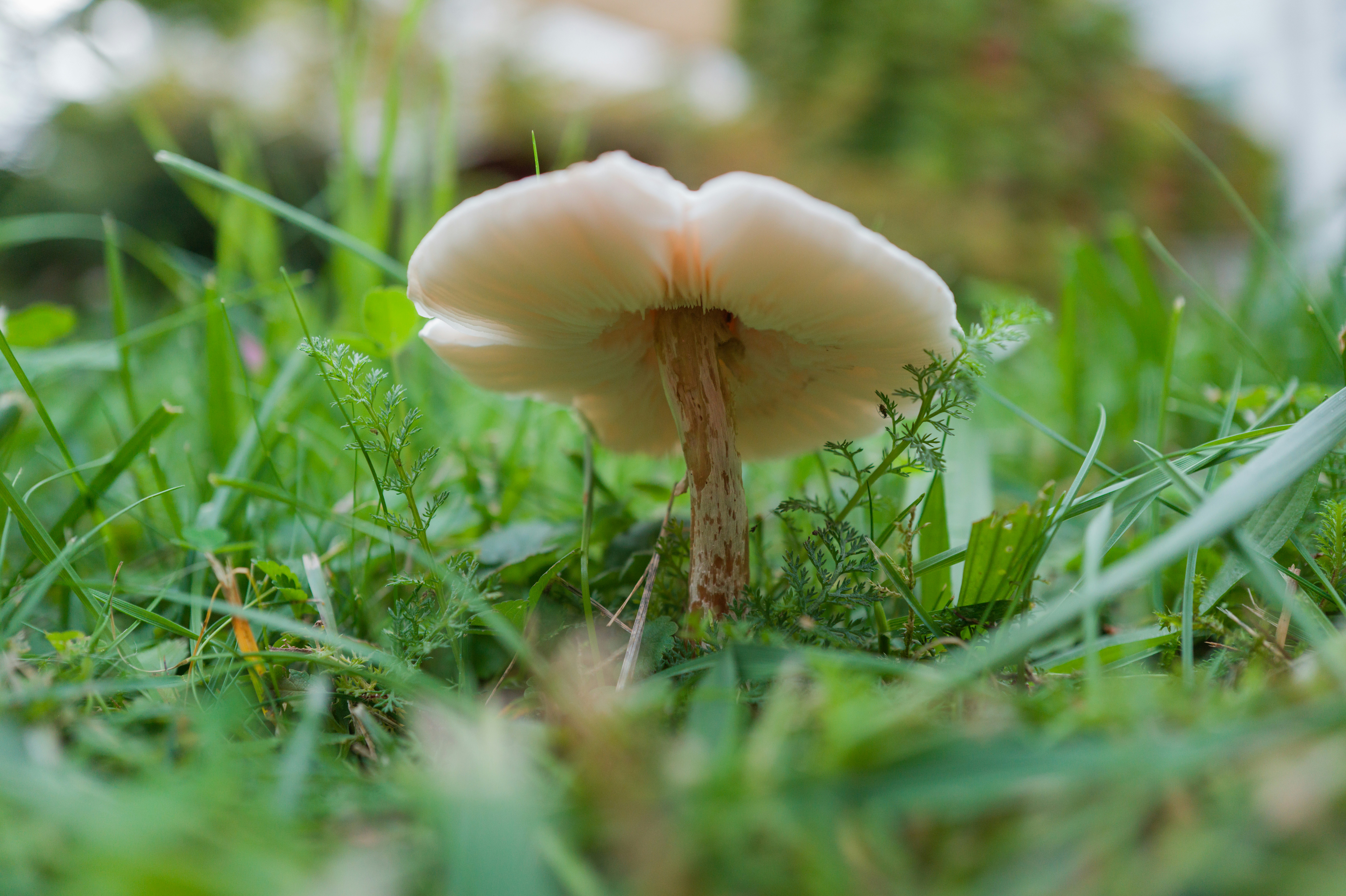 Photo by georgeiermann