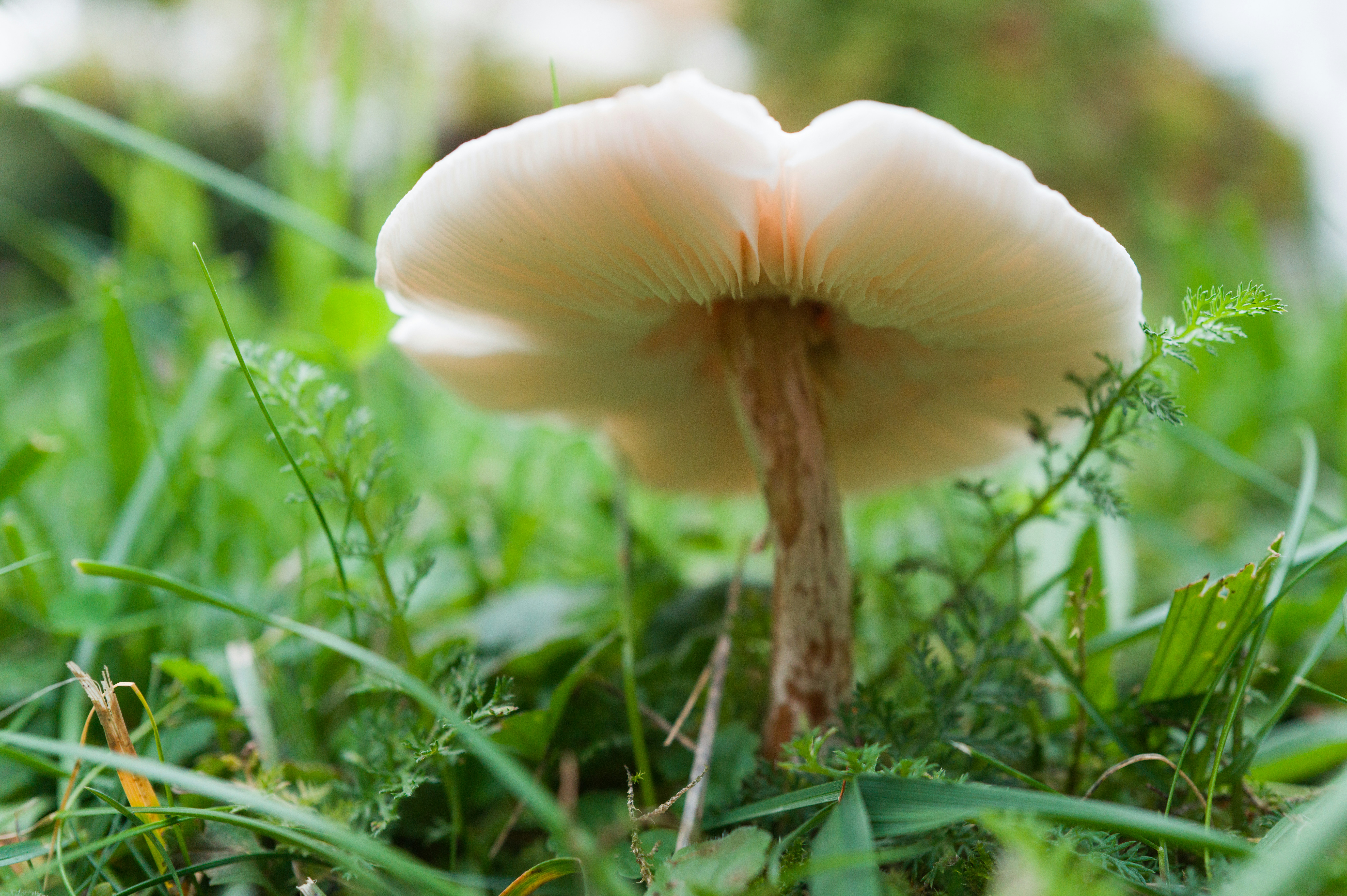 Photo by georgeiermann