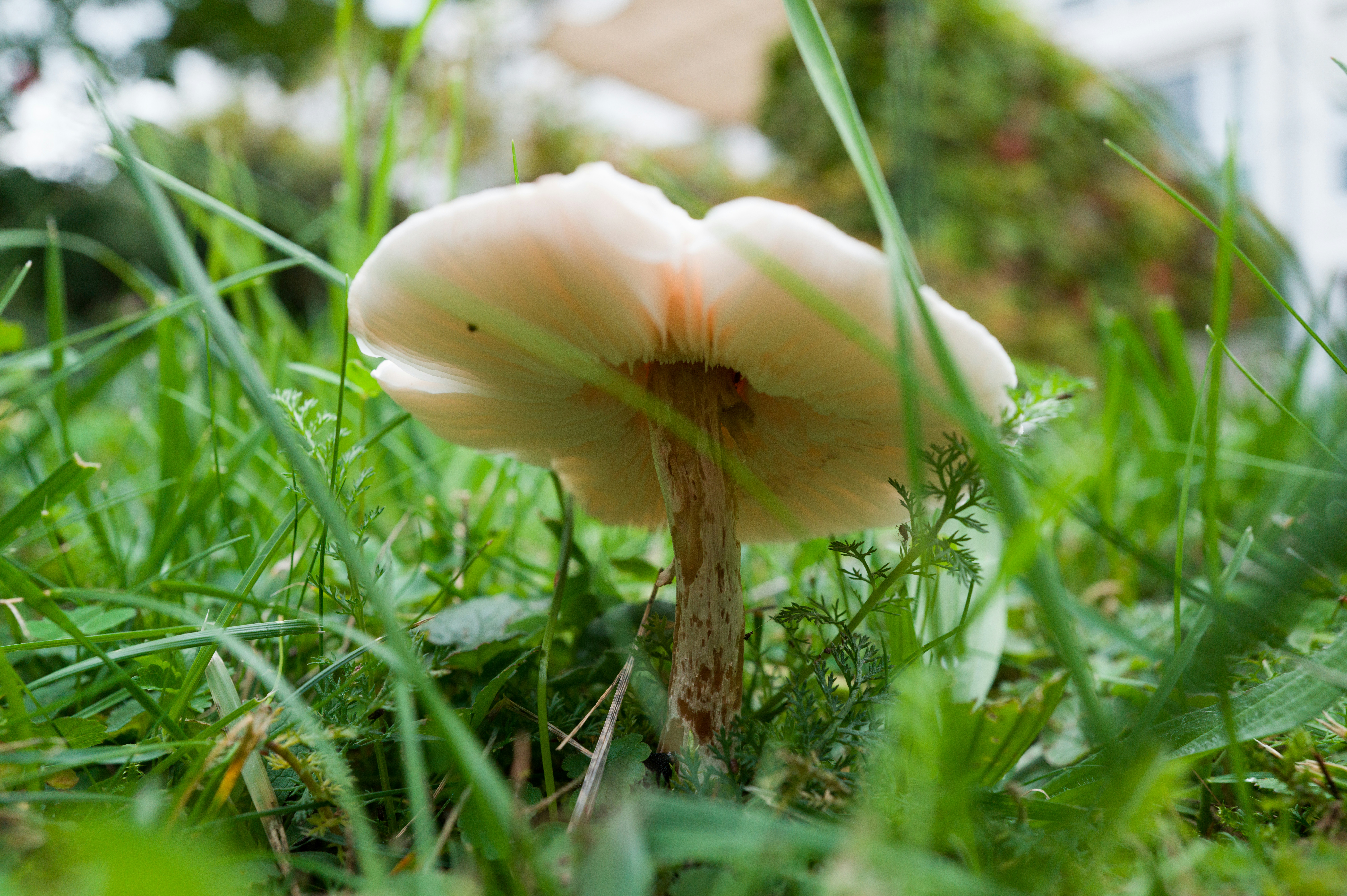 Photo by georgeiermann