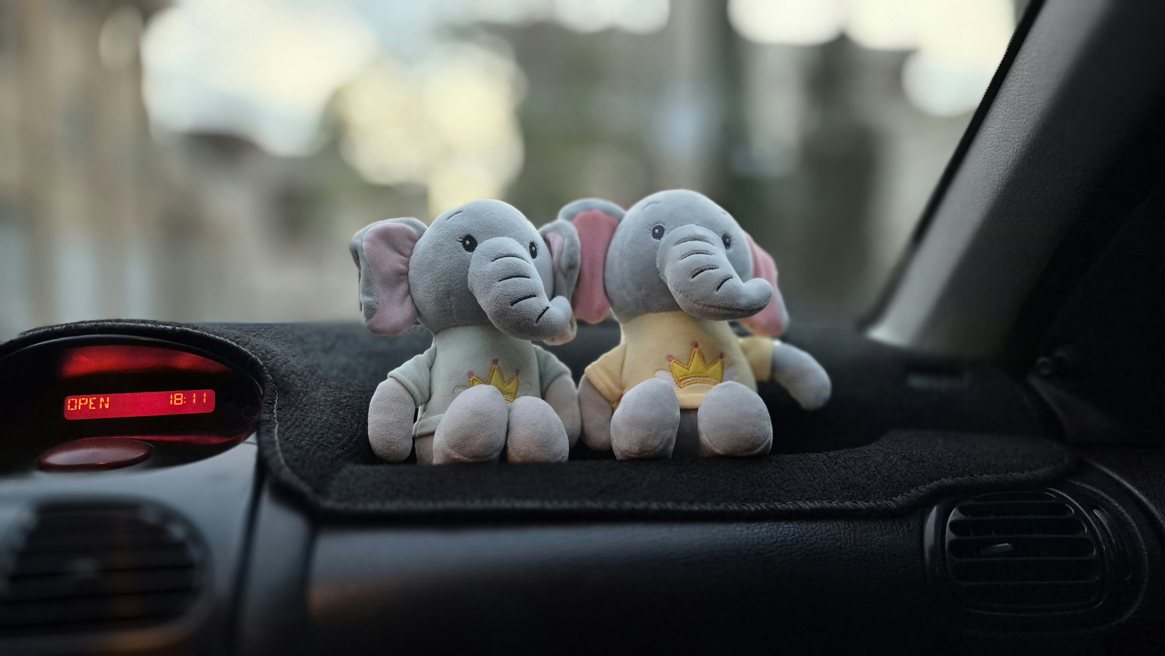 Car Dashboard Decor