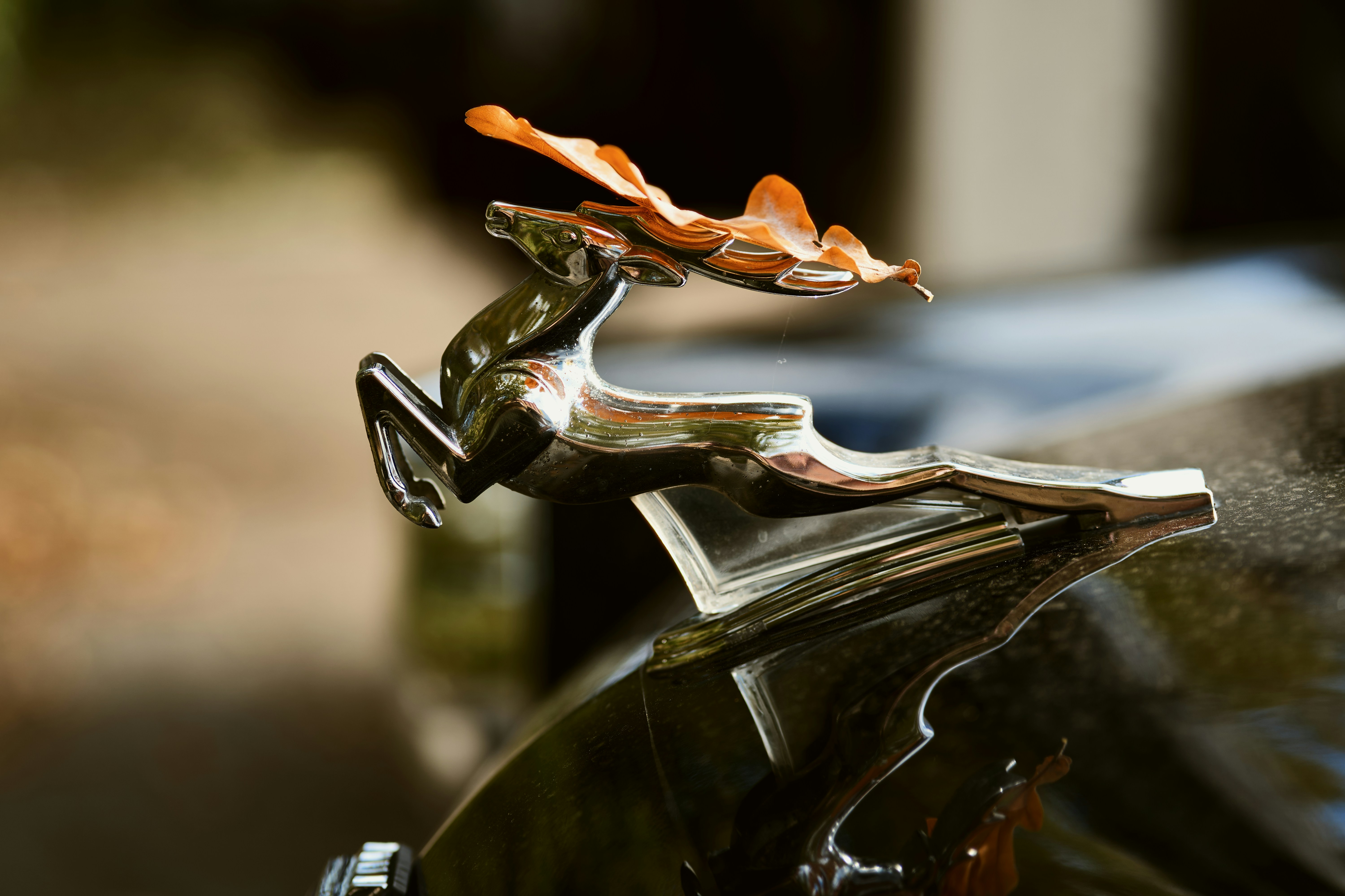 metal animals - metal animal models