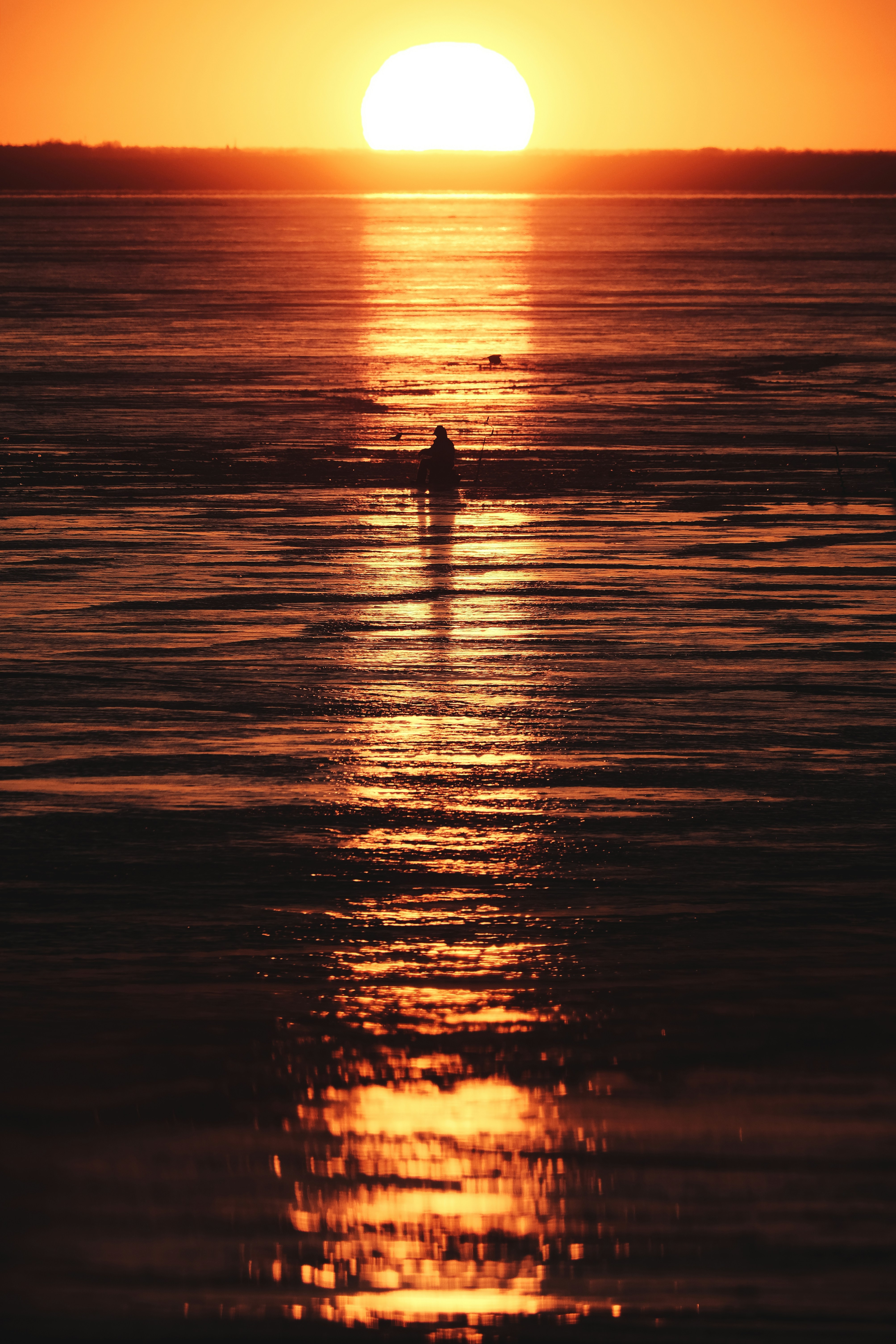 Photo by gurnick