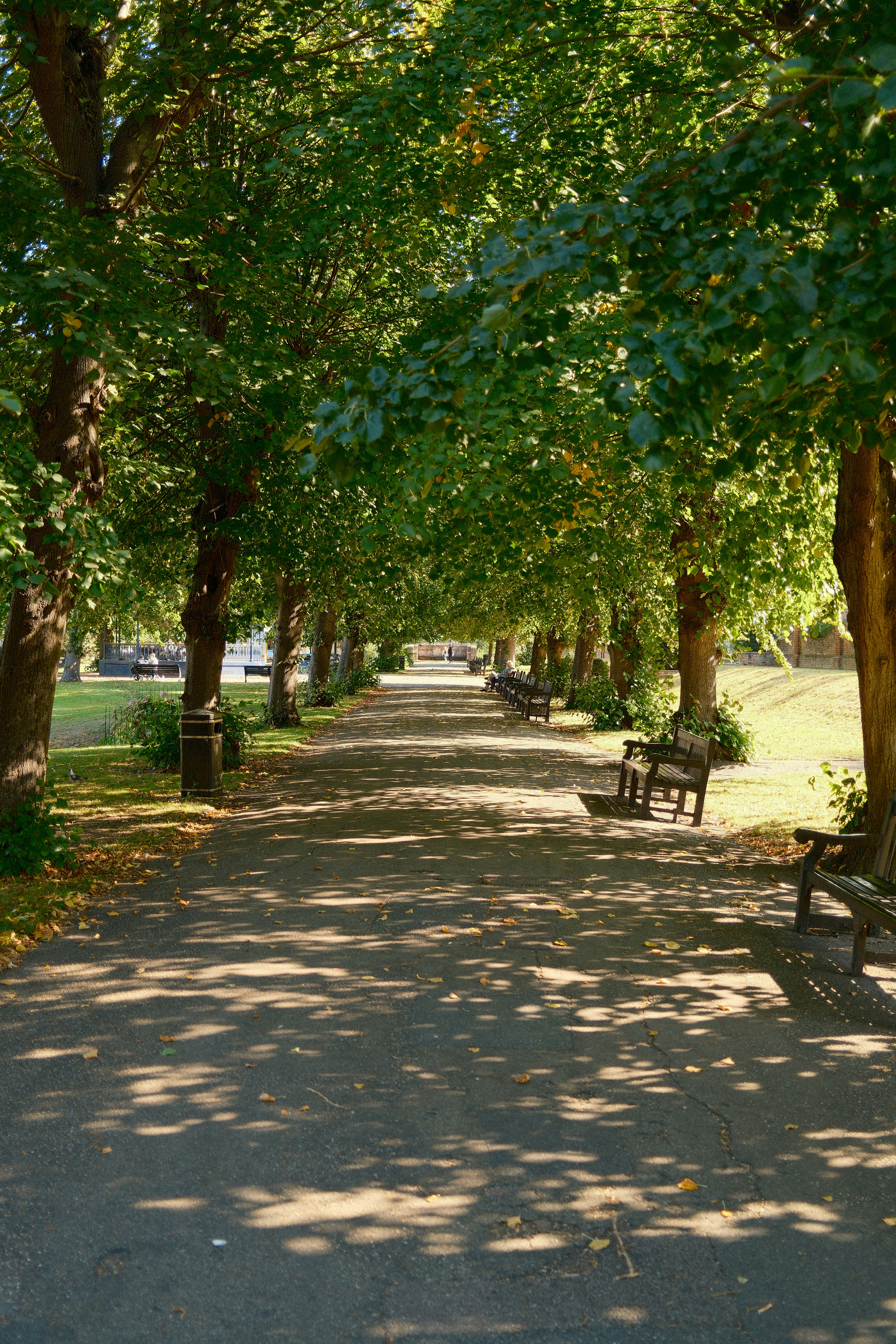 Photo by ayotundeikuesan