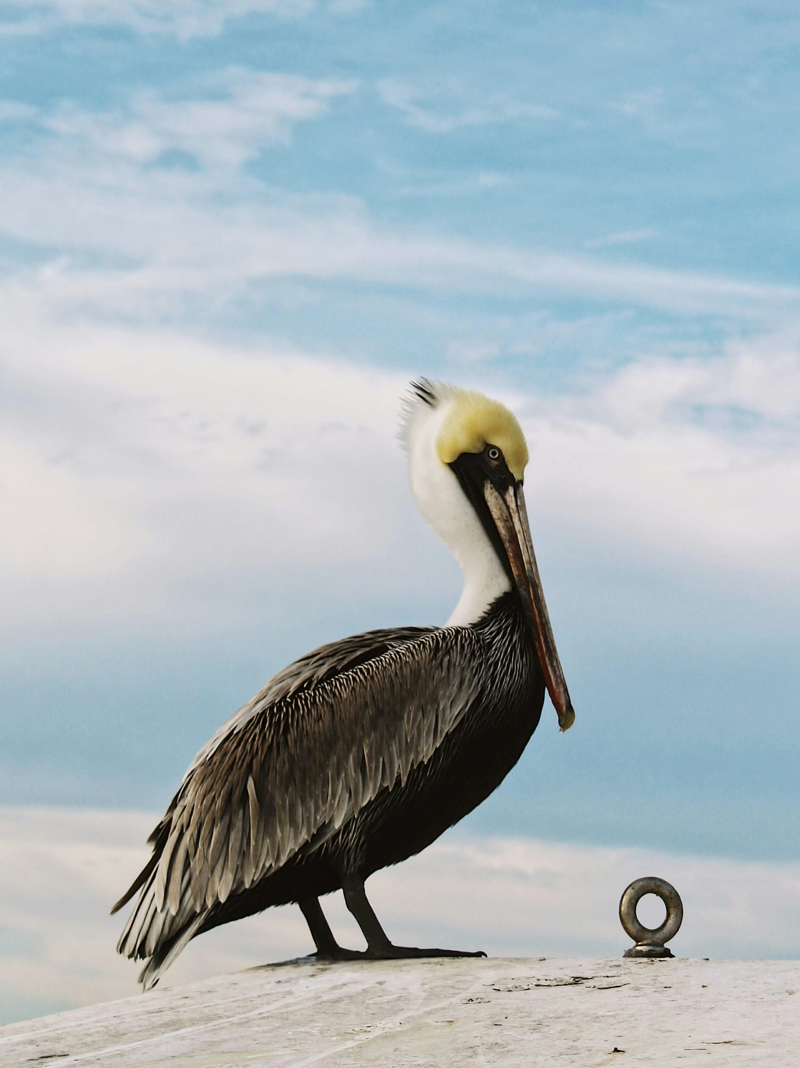 Photo by byheatherdoty