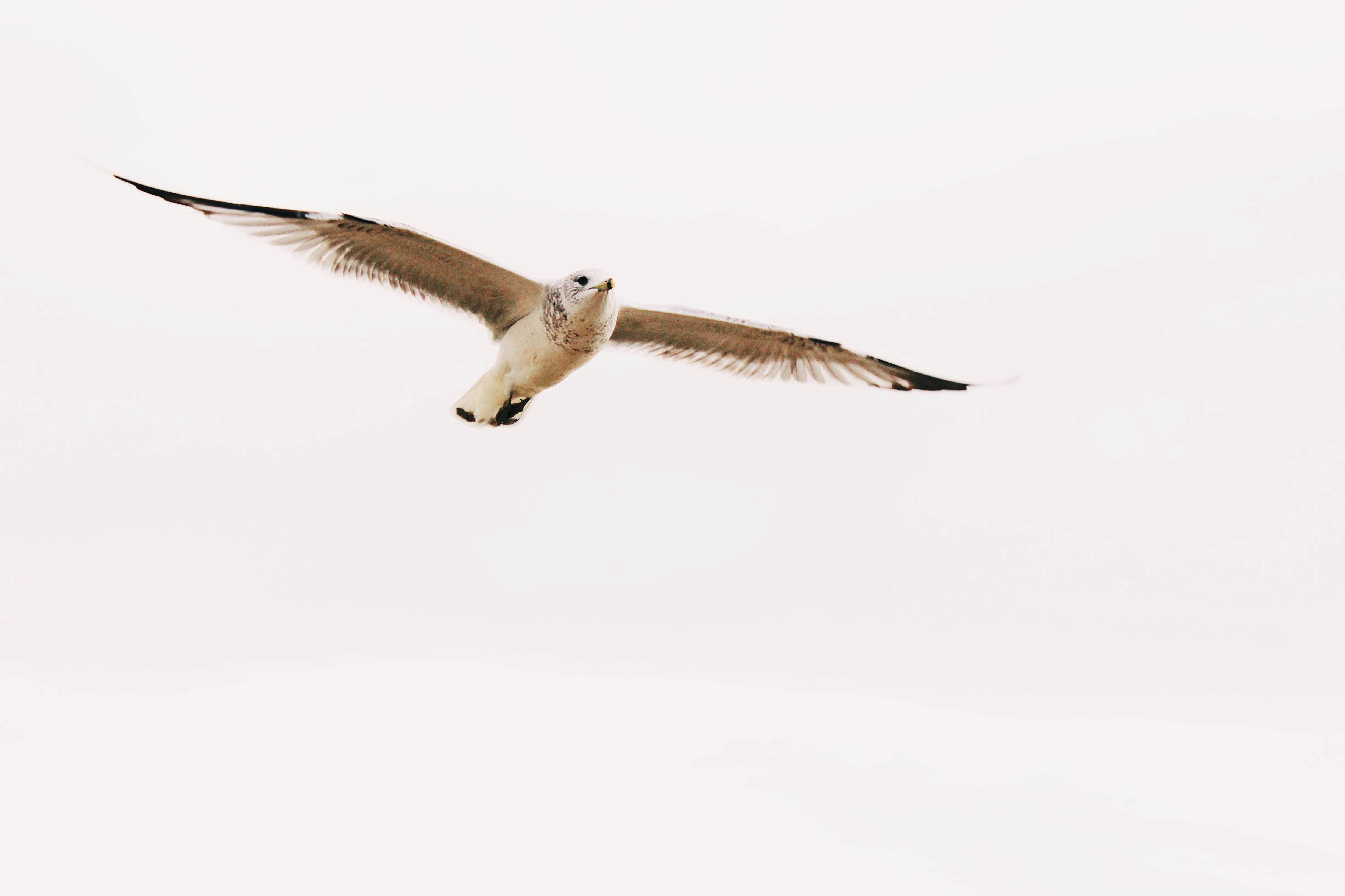 Photo by byheatherdoty