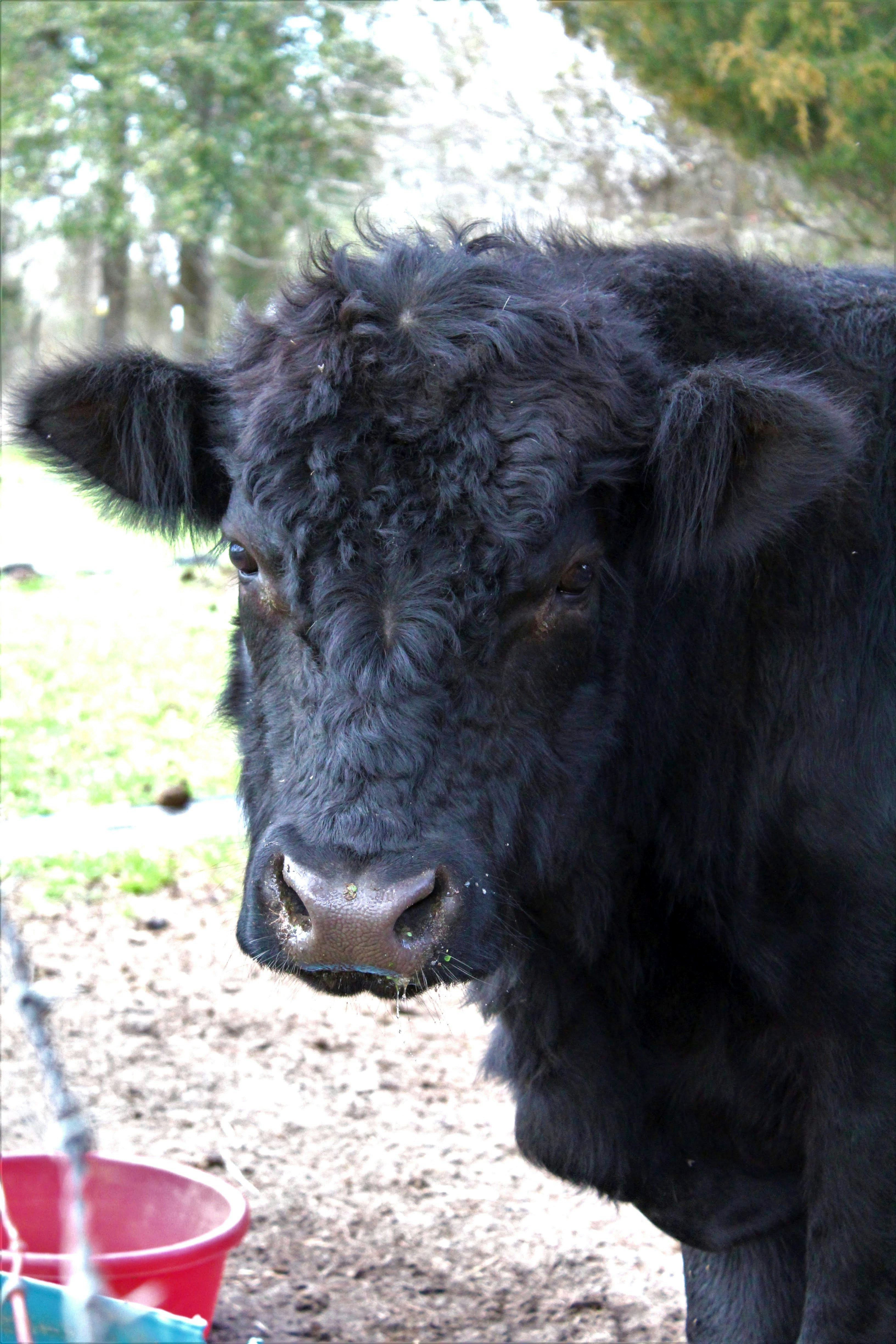 Photo by byheatherdoty