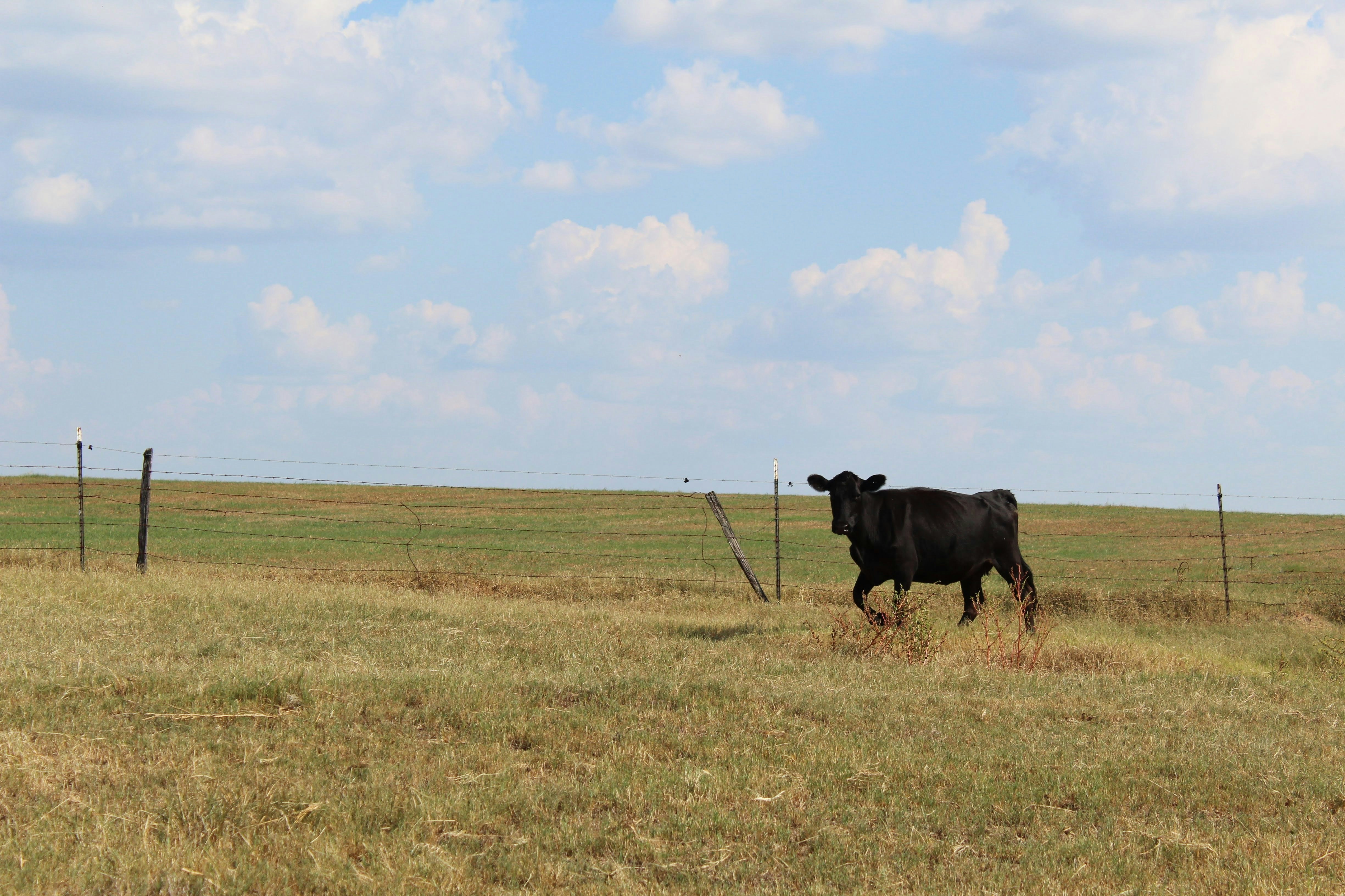 Photo by byheatherdoty