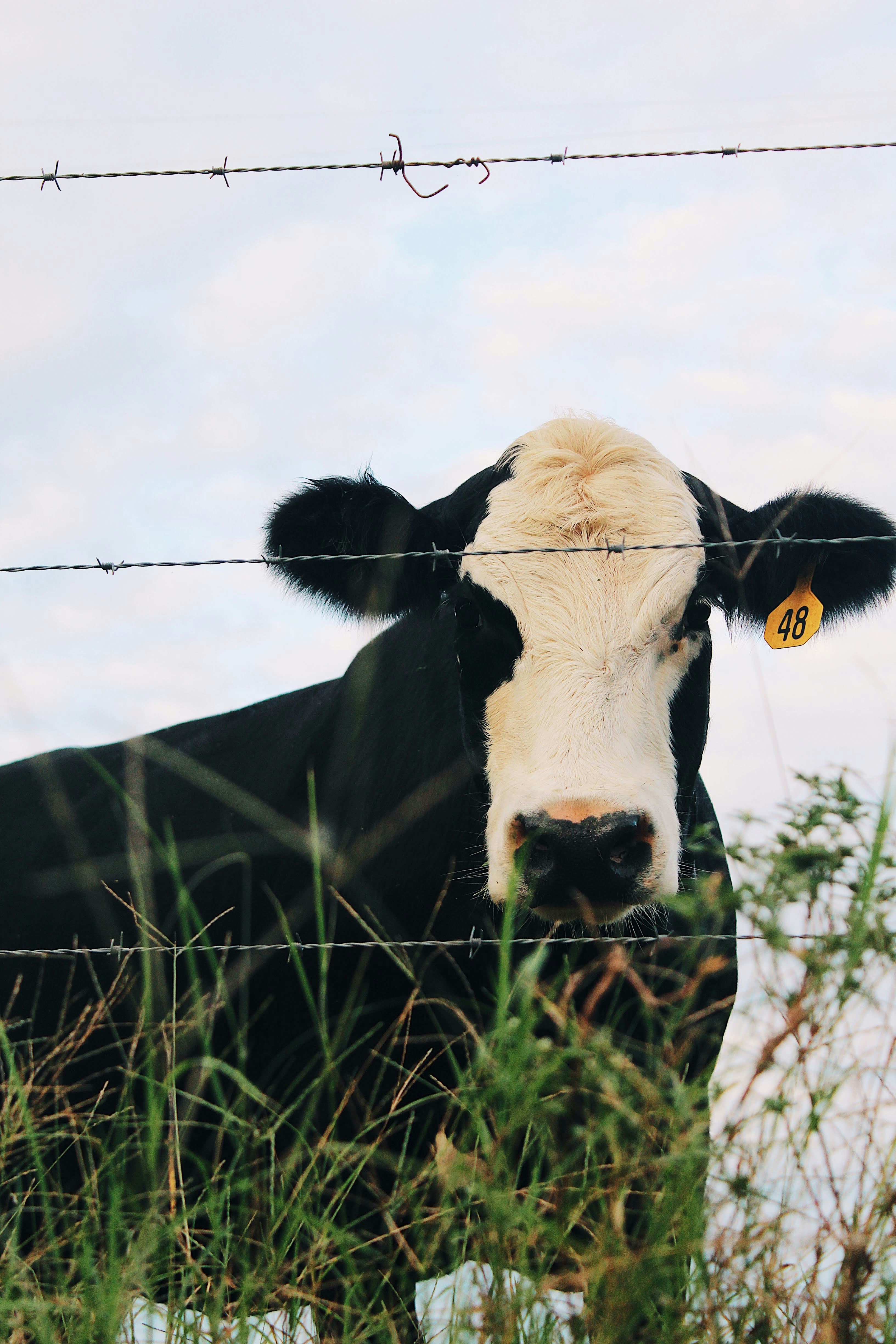 Photo by byheatherdoty