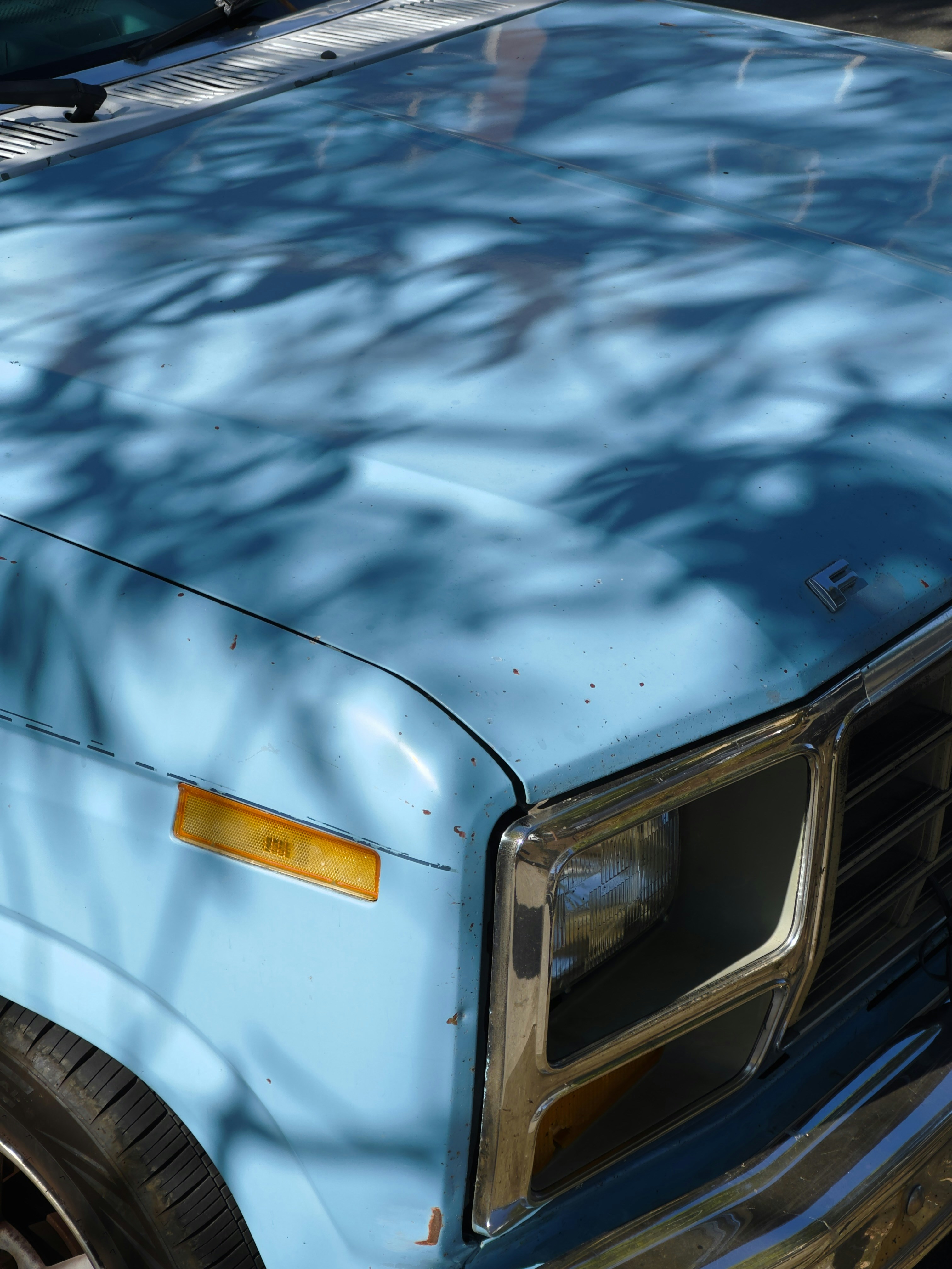 Light blue truck hood with tree shadow patterns.