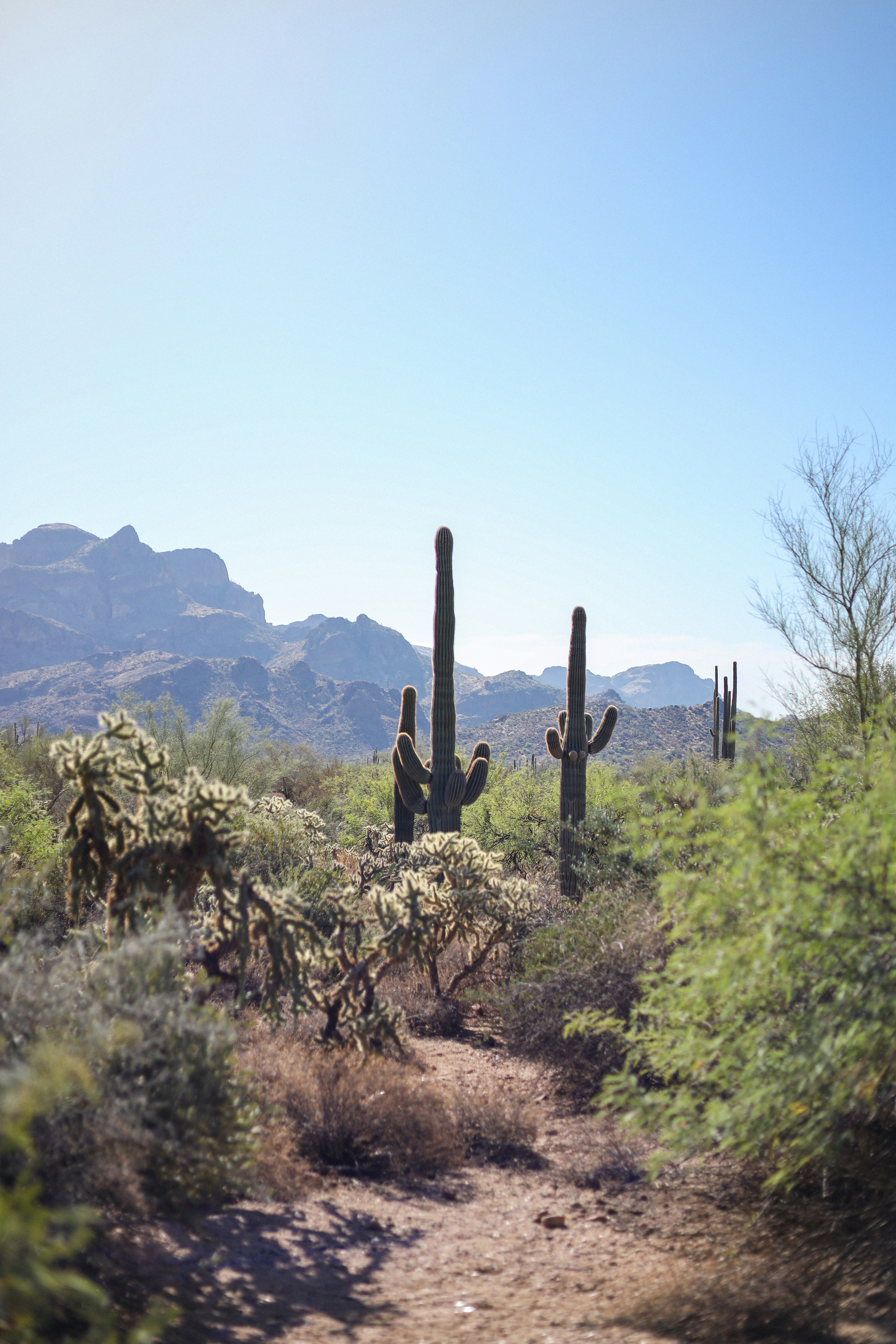 Photo by seasonallyartistic