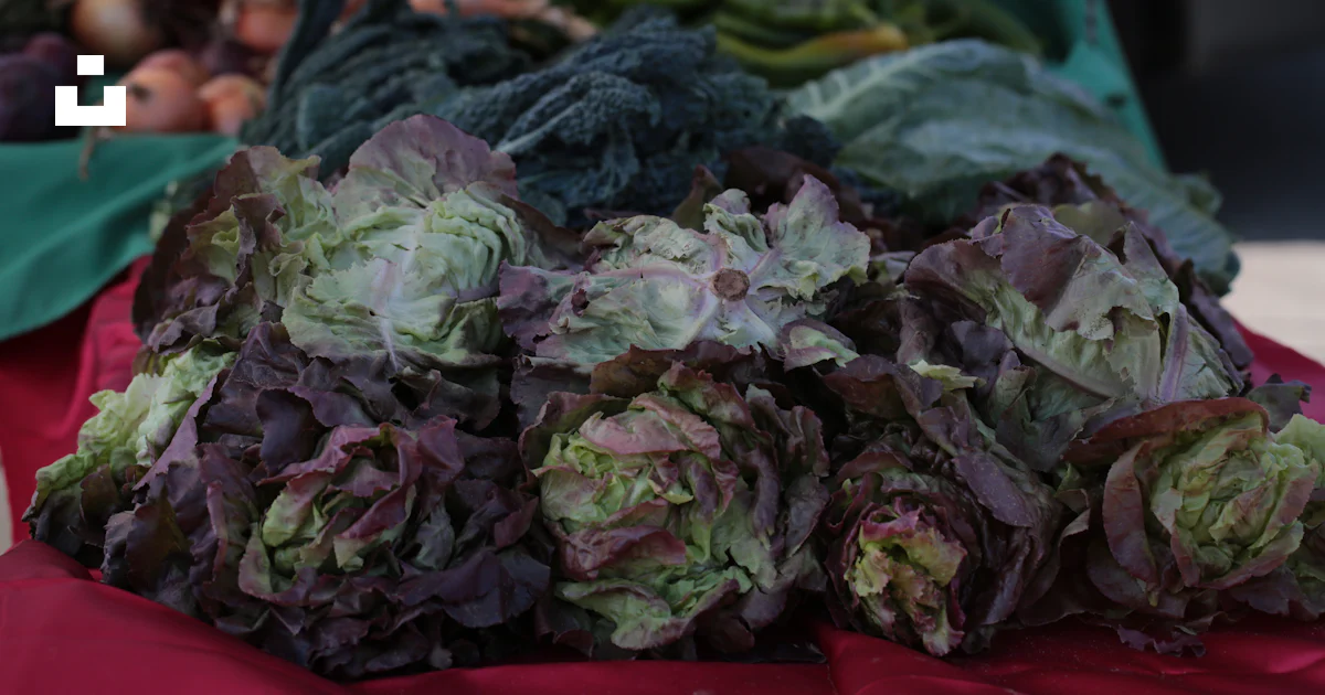 Normal Vegetables Fresh lettuce and vegetables displayed at a market - Free Photo on Unsplash