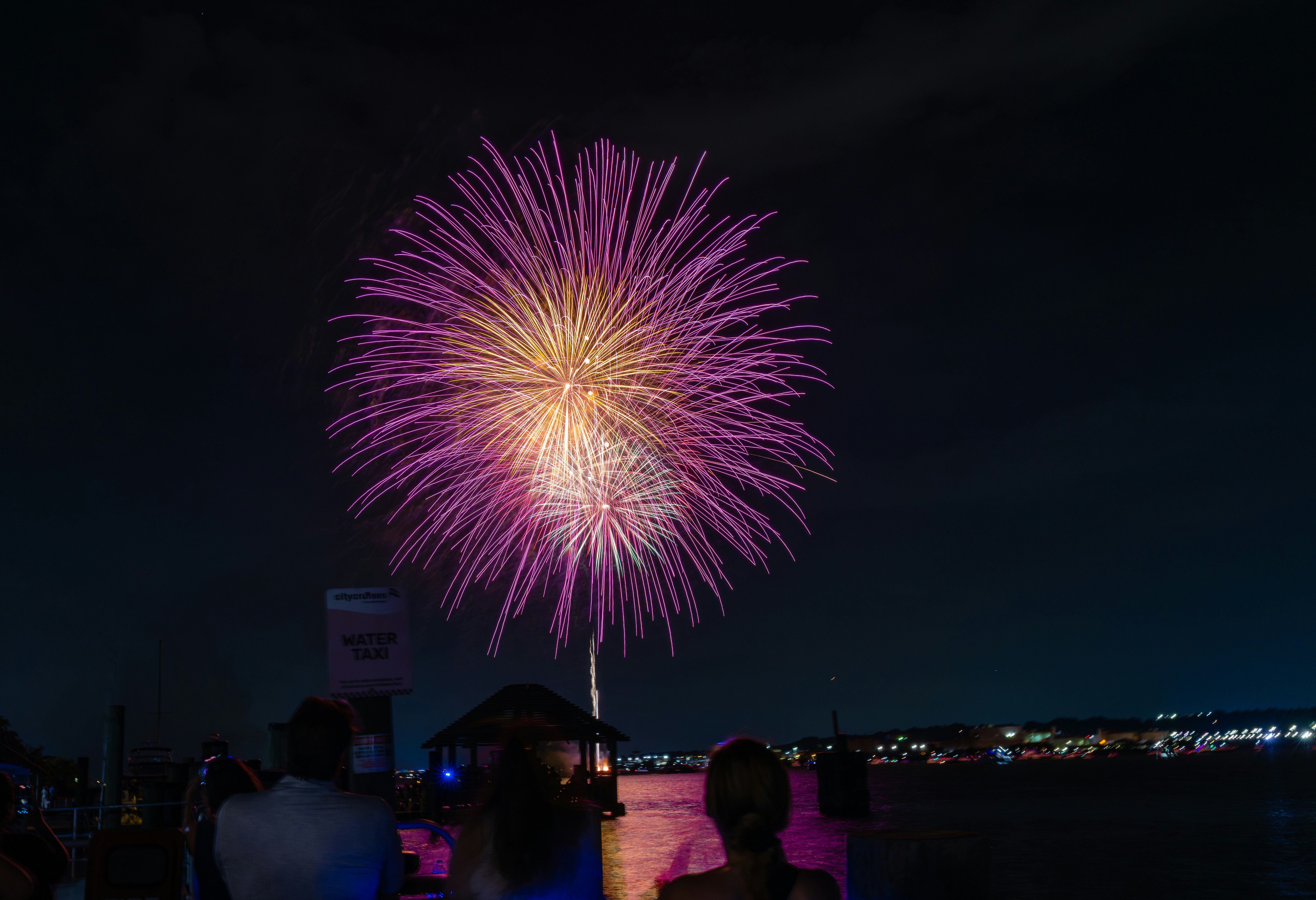 Purple fireworks explode over a dark night sky.