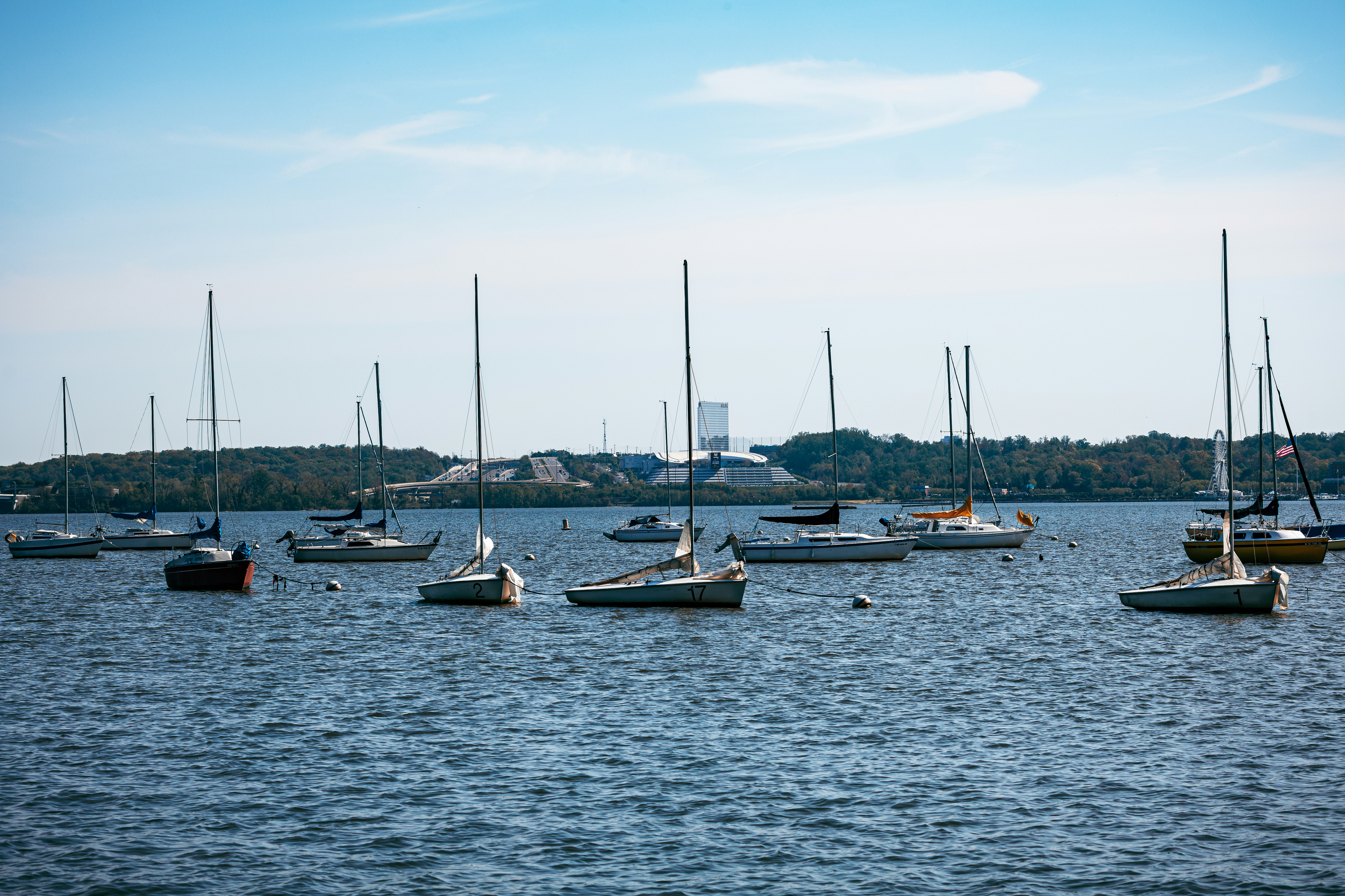 Photo by jasongooljar24