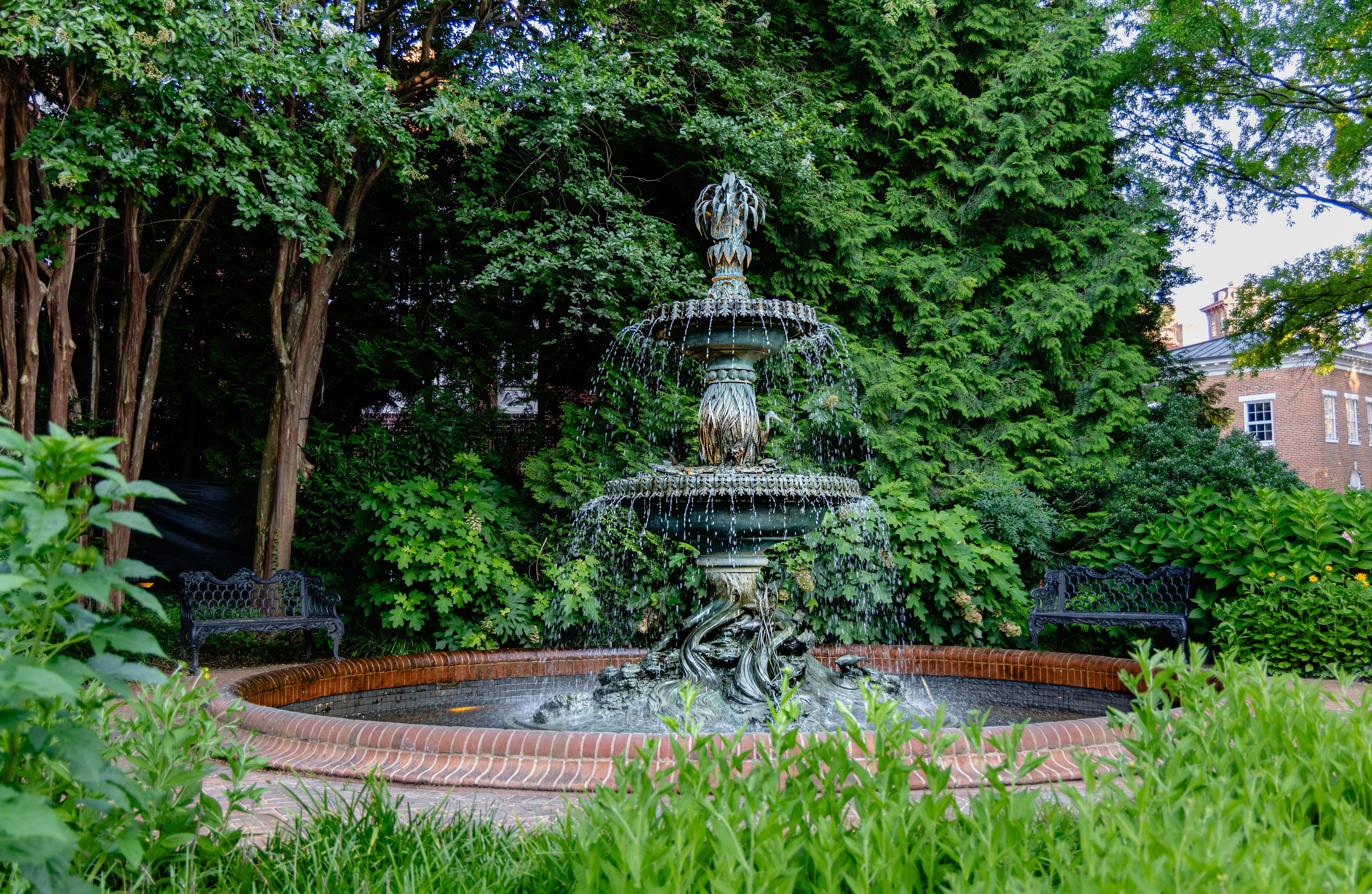 Photo by jasongooljar24