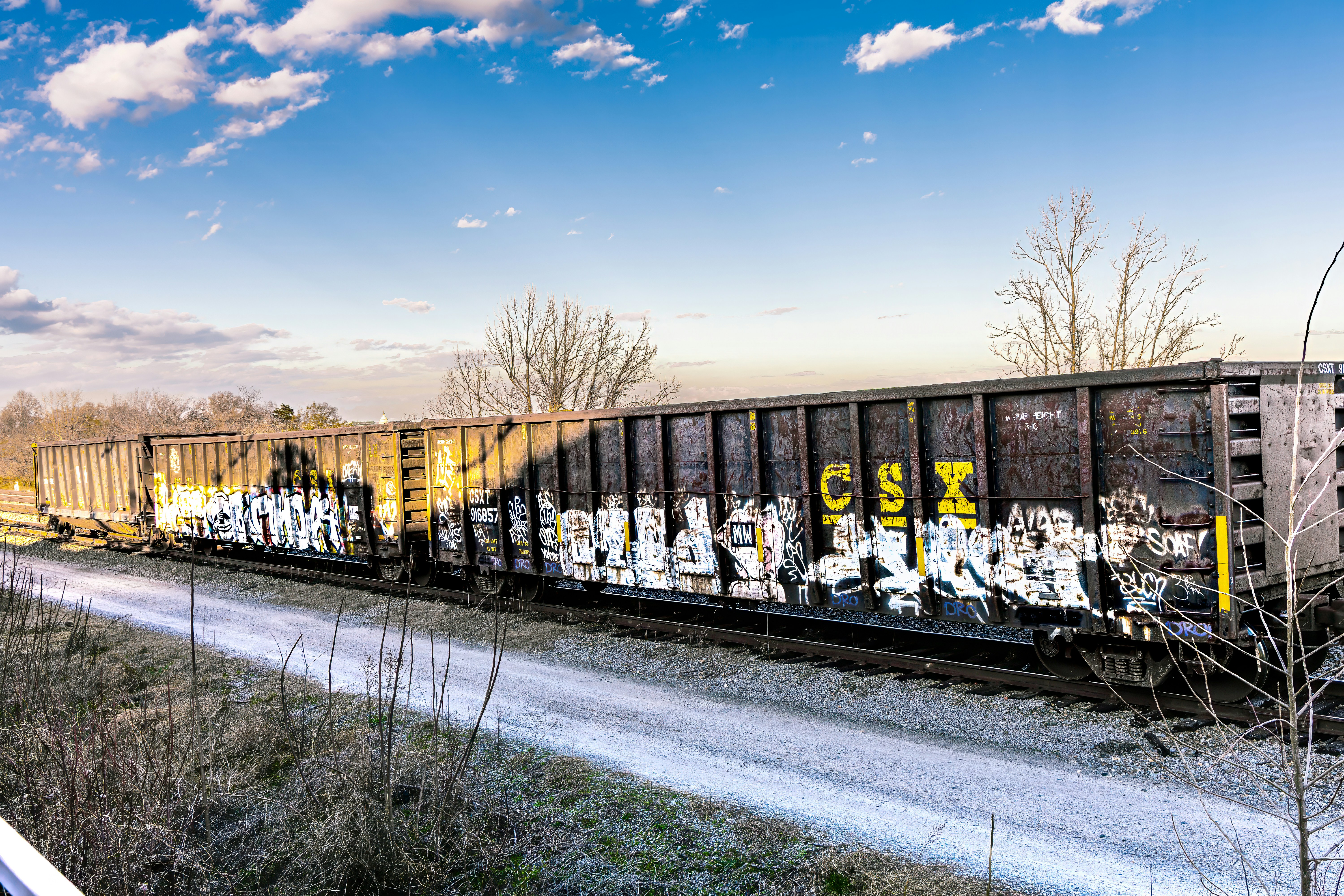 Graffiti covered freight train cars on tracks