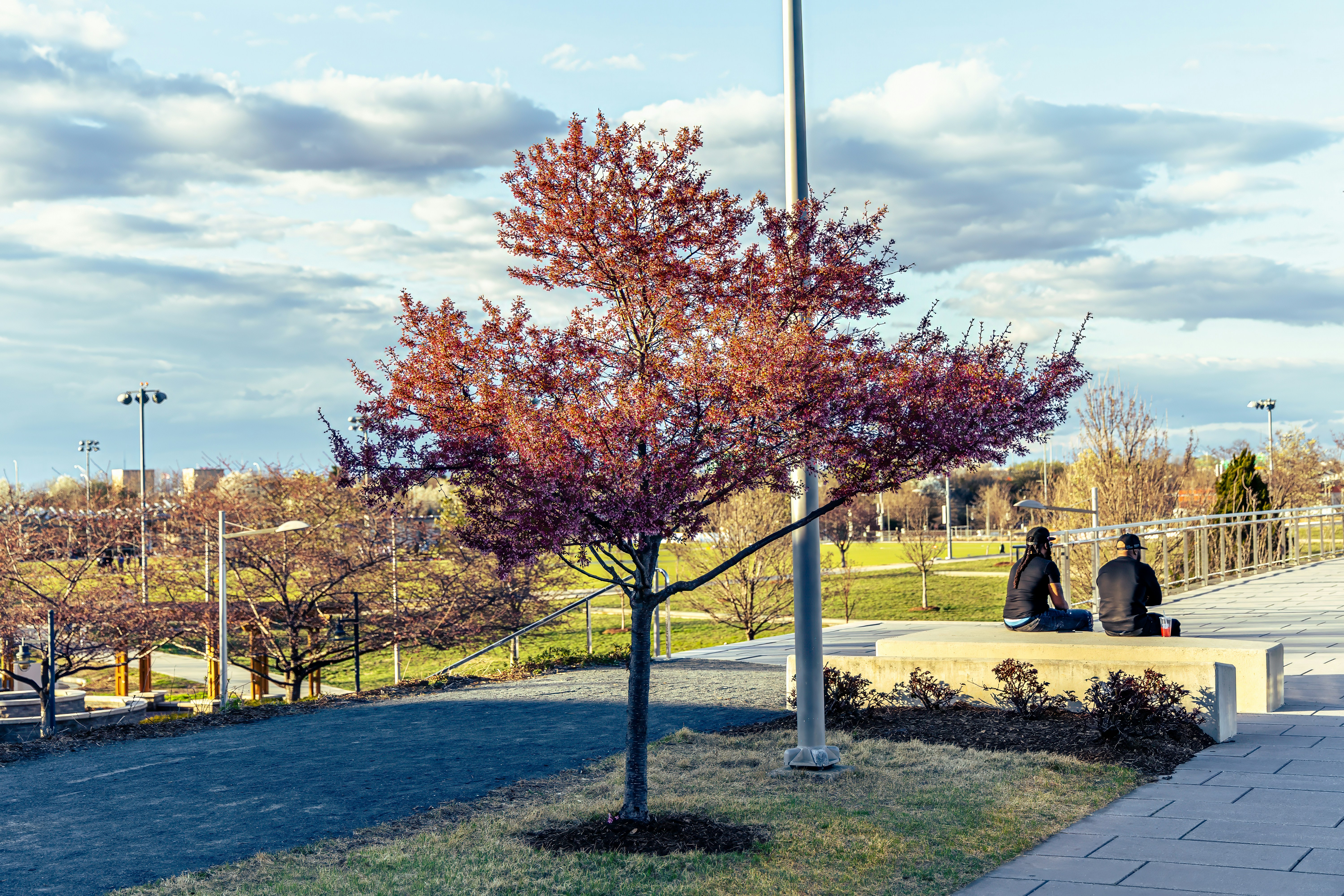 Photo by jasongooljar24