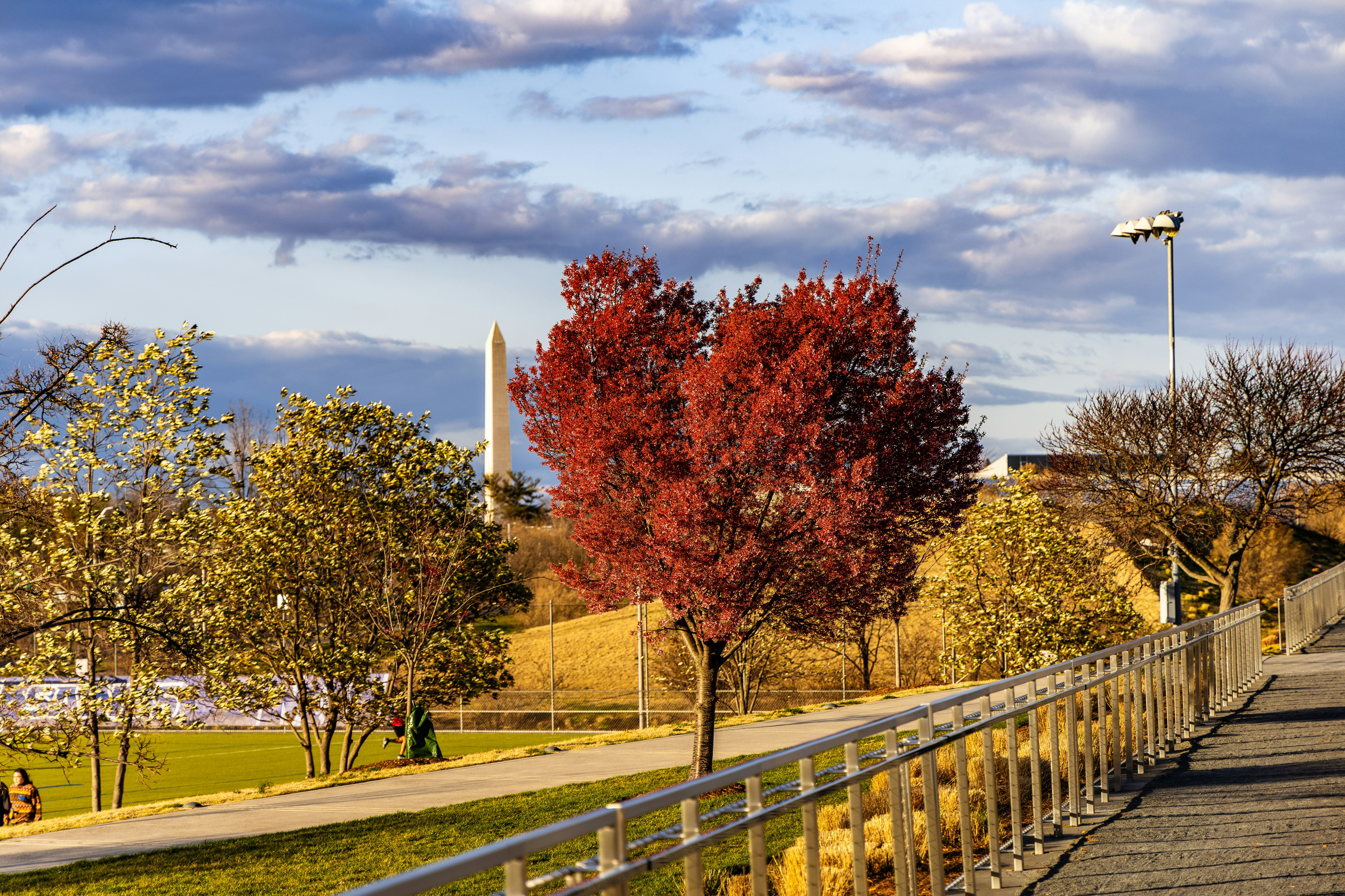 Photo by jasongooljar24