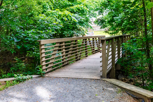 Walking with Jesus to a wooden bridge crossing a path in a lush forest.